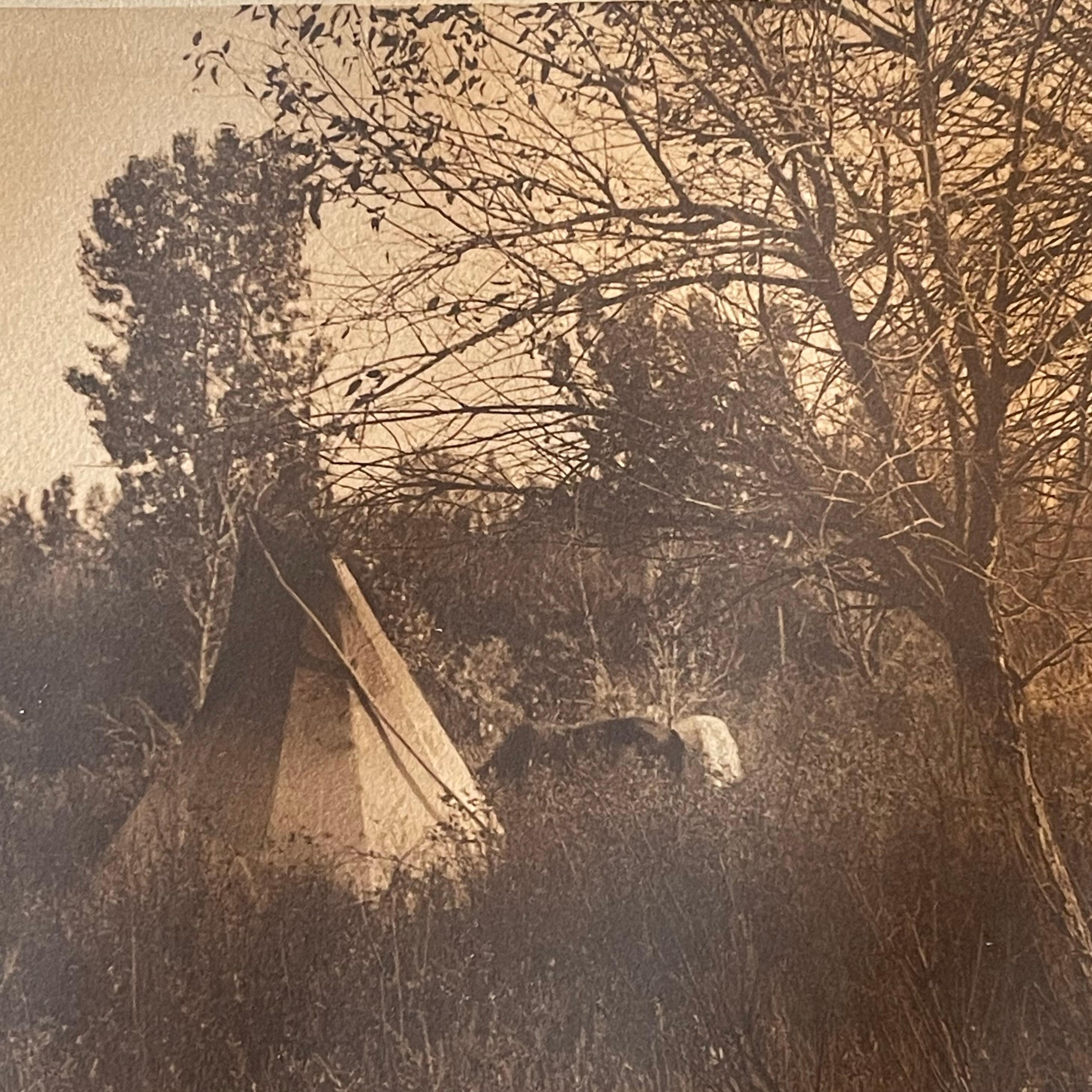 American Classical Edward S Curtis, Autumn - Apsoroke, 1908 For Sale