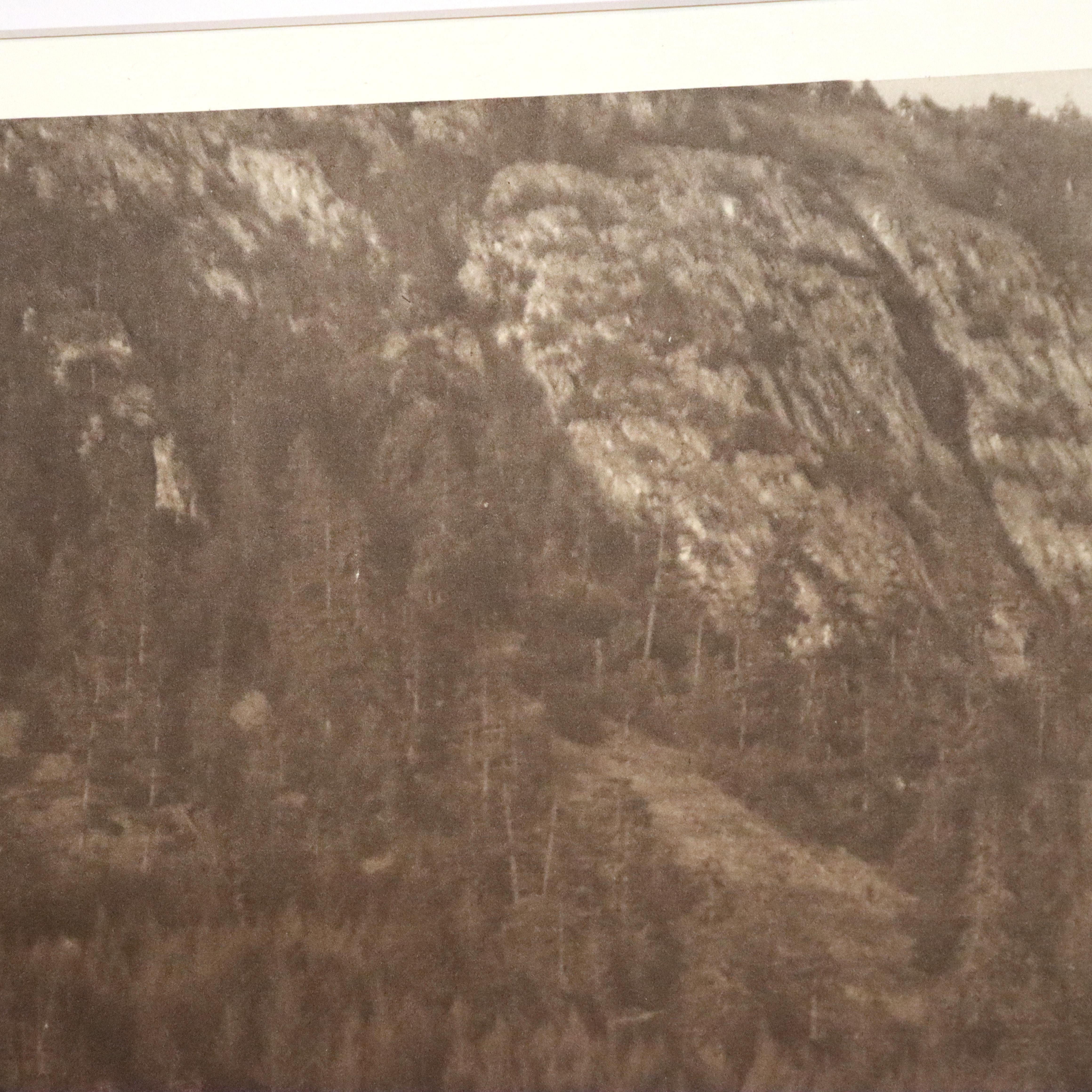 Gravure amérindienne d'Edward S. Curtis 