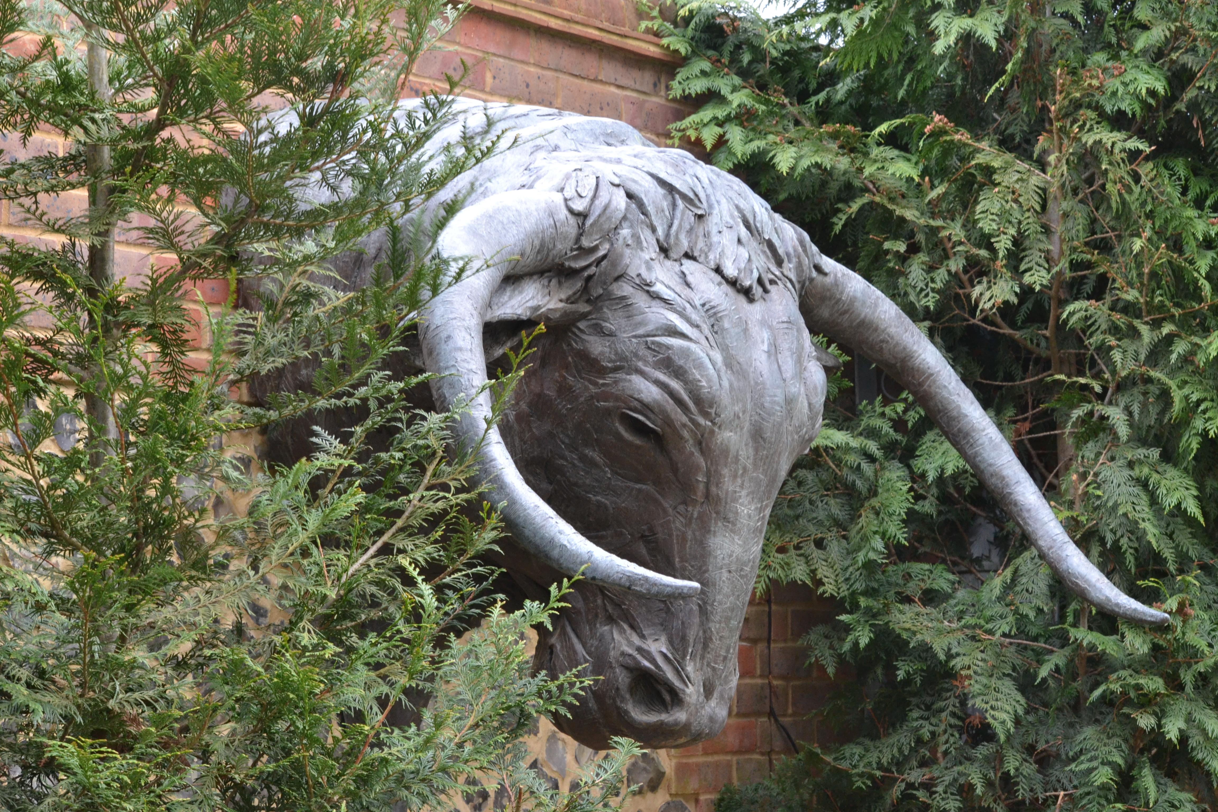 Monumental Bulls Head - Contemporary Sculpture by Edward Waites