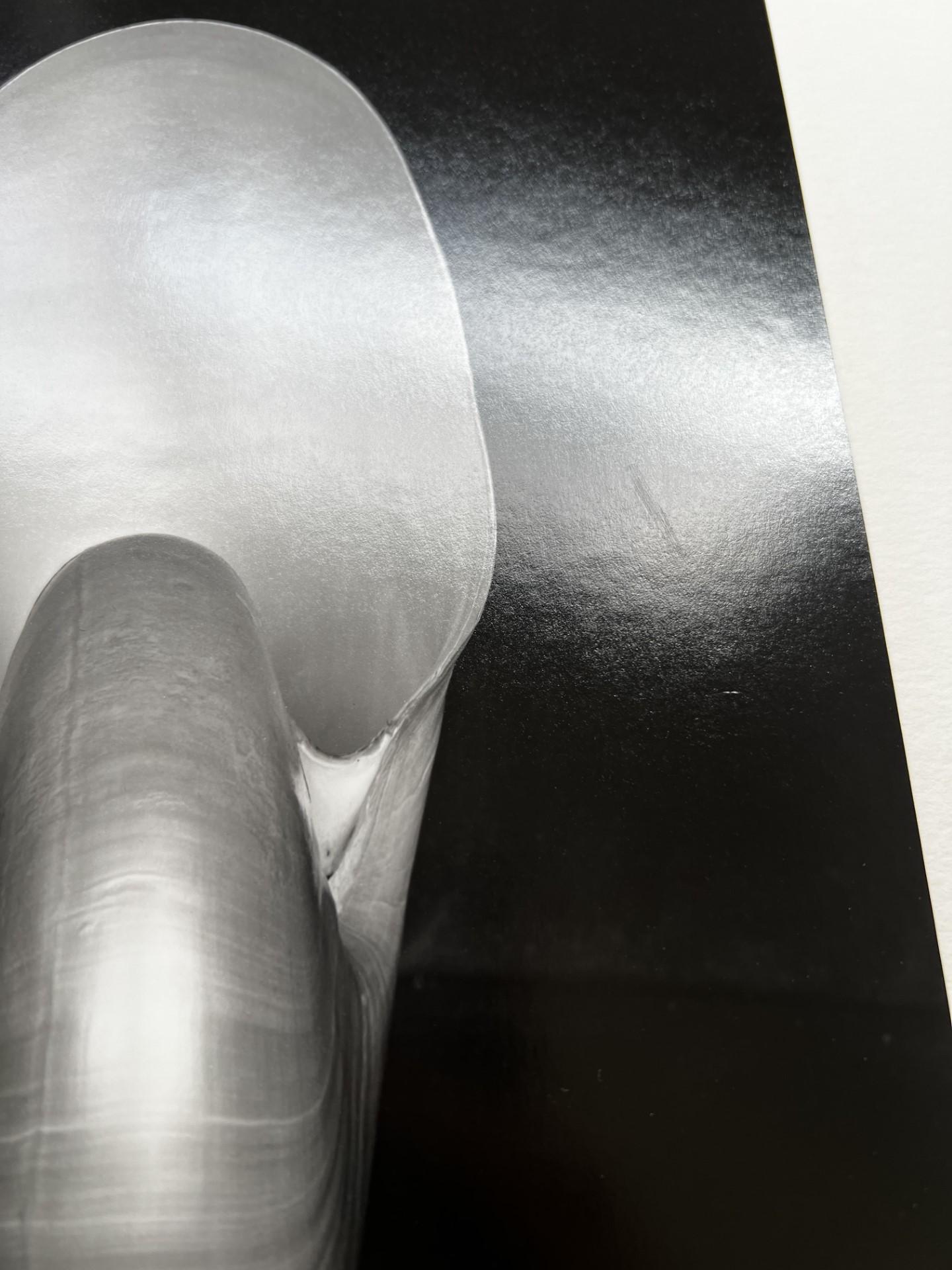 1S Schale – Photograph von Edward Weston