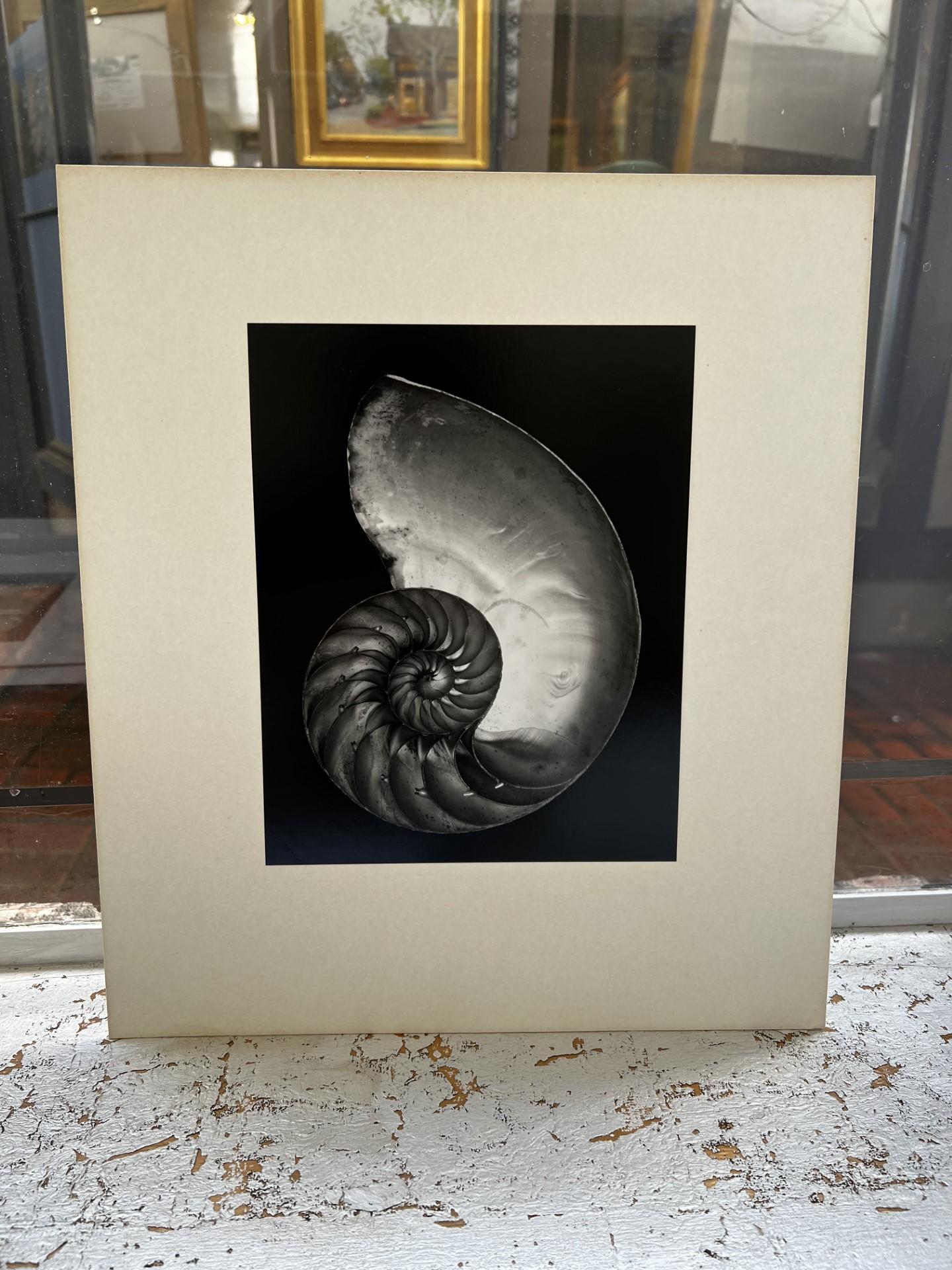 Edward Weston Still-Life Photograph - 2S Shell