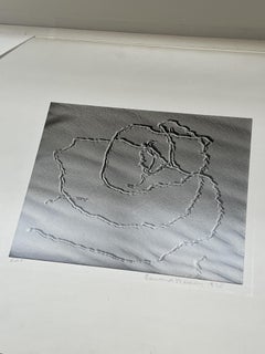Tracks d'insectes sur le sable, Oceano