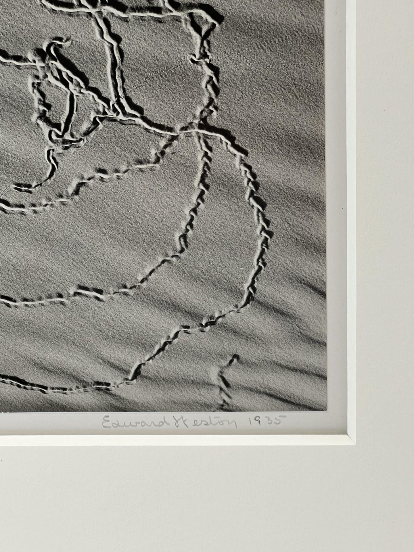 Huellas de insectos en la arena, Oceano - Black and White Photograph Gris de Edward Weston