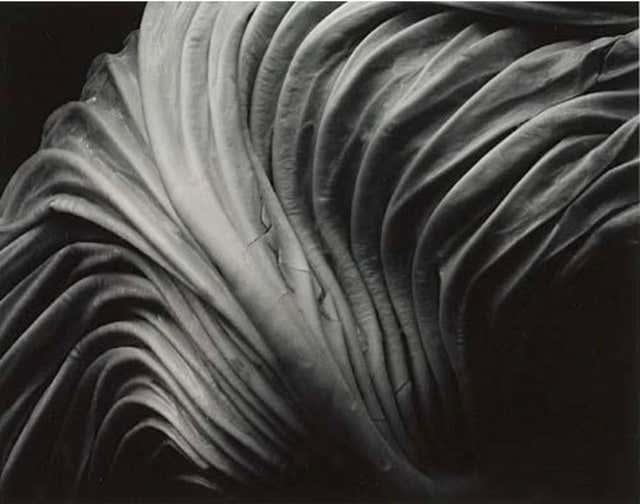 Edward Weston Nude NM A N2G At 1stDibs edward-weston-nude-nm-a-n2g-at-1stdibs