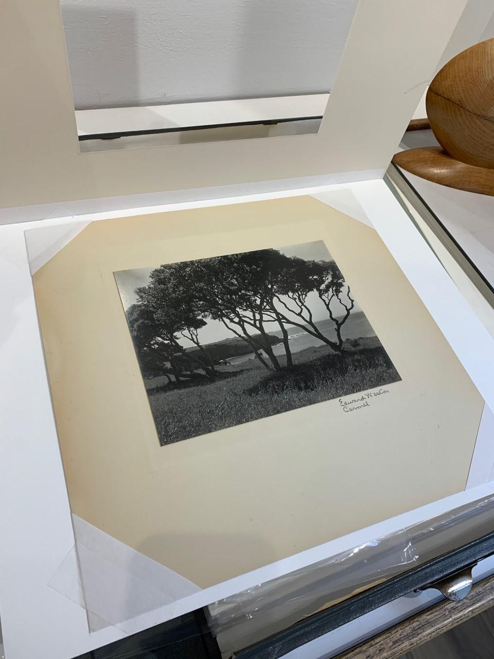 edward weston artworks