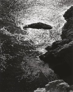 China Cove, Point Lobos Carmel California