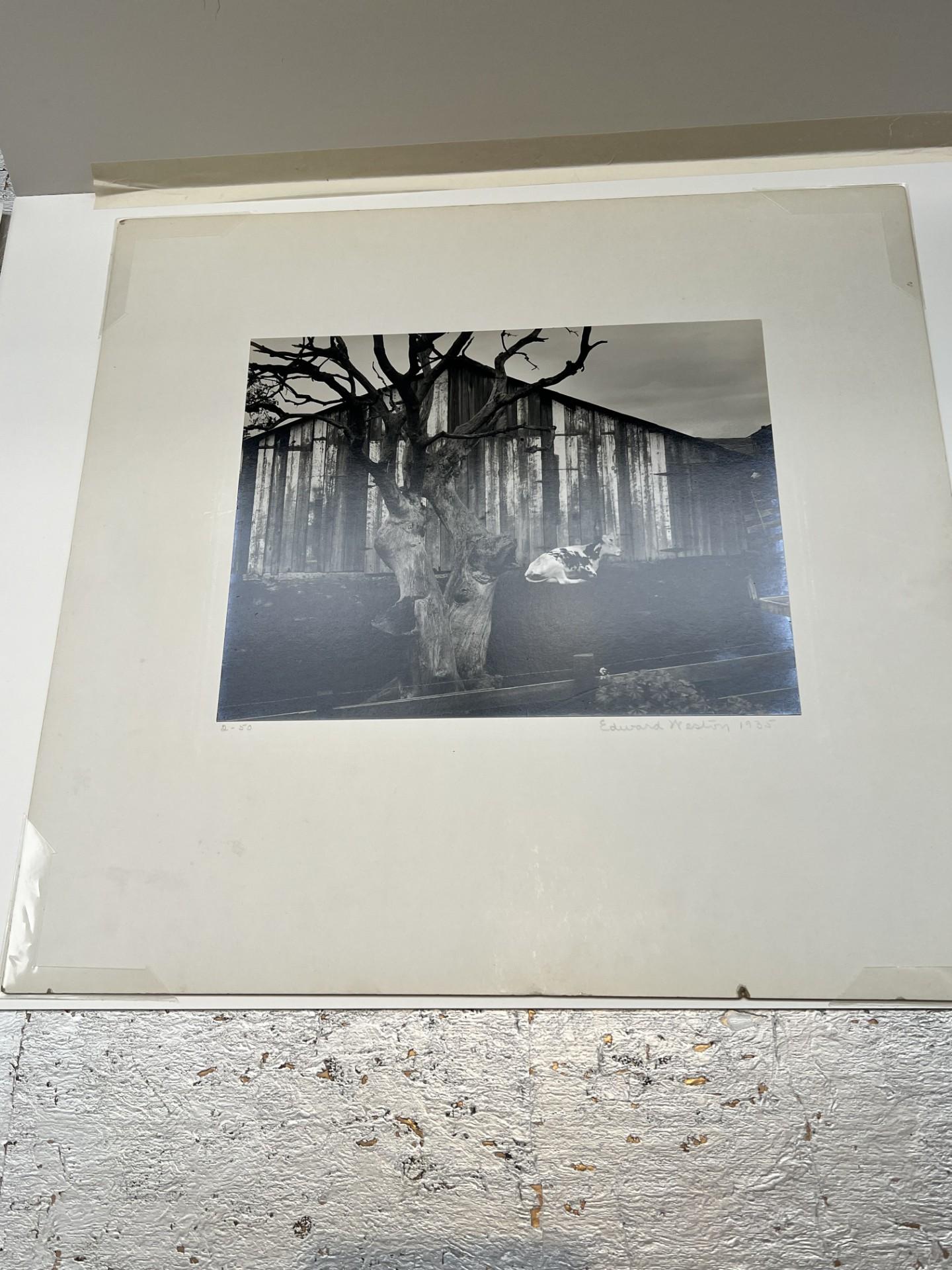Vintage print signiert, datiert und nummeriert mount recto. Datiert mit neg. Code verso.