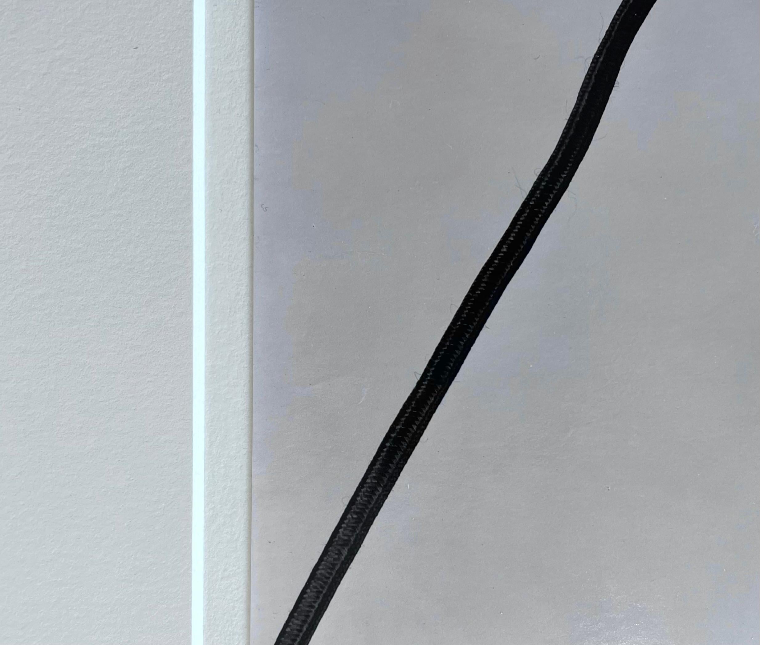 Betitelt mit der Referenznummer des Künstlers und mit Bleistift signiert von Cole Weston mit der Faksimile-Signatur von Edward Weston auf der Rückseite des Passepartouts. Später von Cole Weston vom Originalnegativ gedruckt, das jetzt im Center for