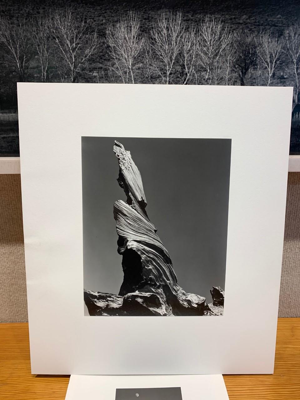 Driftwood Stump - Photograph by Edward Weston