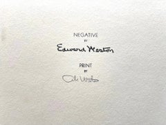 Edward Weston, Fungo, 4FU 1931