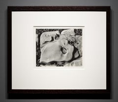 Eroded Rock (50R), Point Lobos