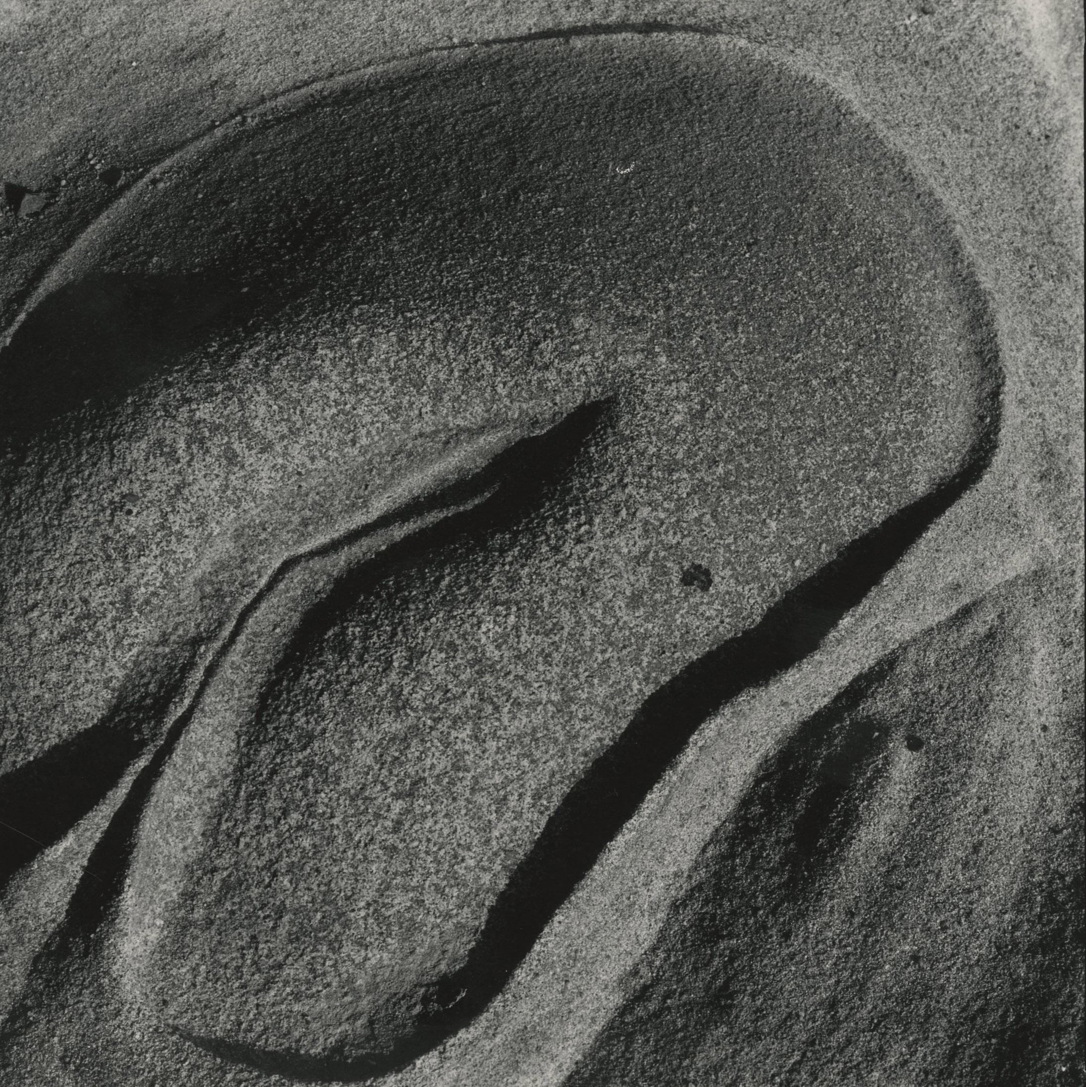 Erodierte Felsen, Point Lobos (Abstrakt), Photograph, von Edward Weston