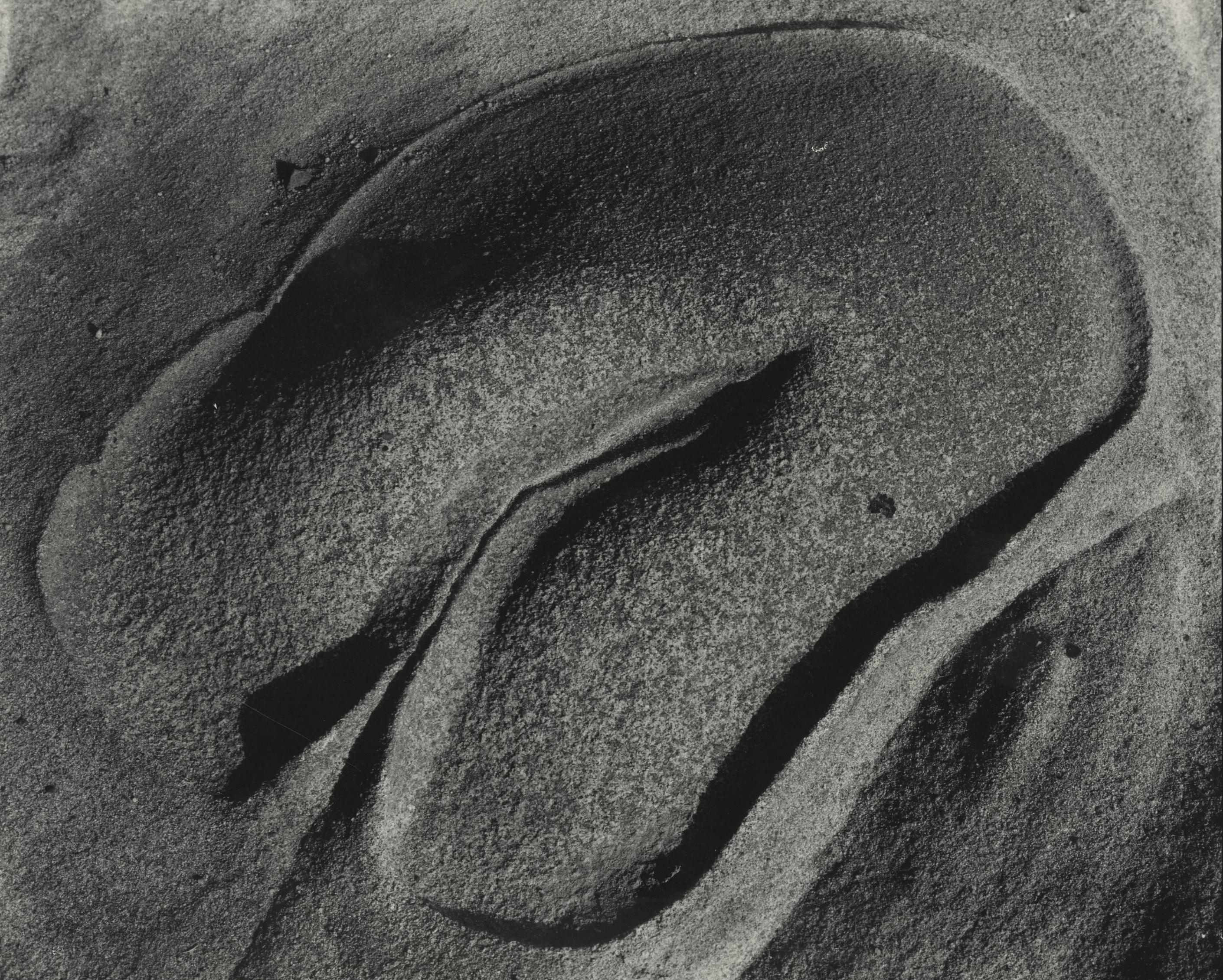 Edward Weston Abstract Photograph - Eroded Rock, Point Lobos