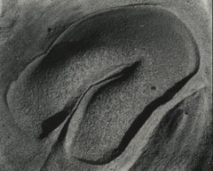 Erodierte Felsen, Point Lobos