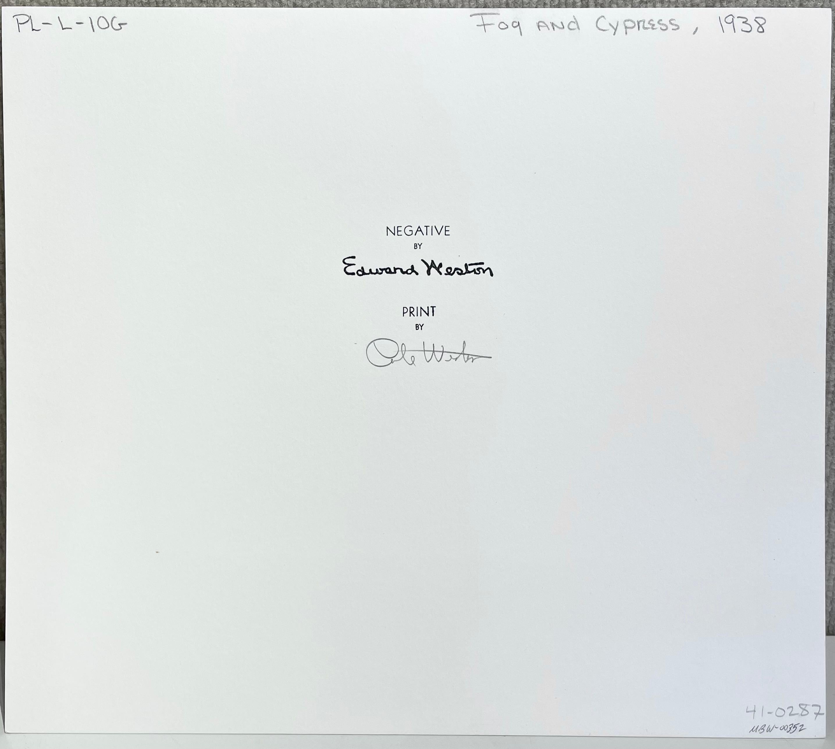 Betitelt mit der Referenznummer des Künstlers und mit Bleistift signiert von Cole Weston mit Edward Westons Faksimile-Unterschrift auf der Rückseite des Passepartouts. Späterer Abzug vom Originalnegativ, das jetzt im Ruhestand ist und im Center for