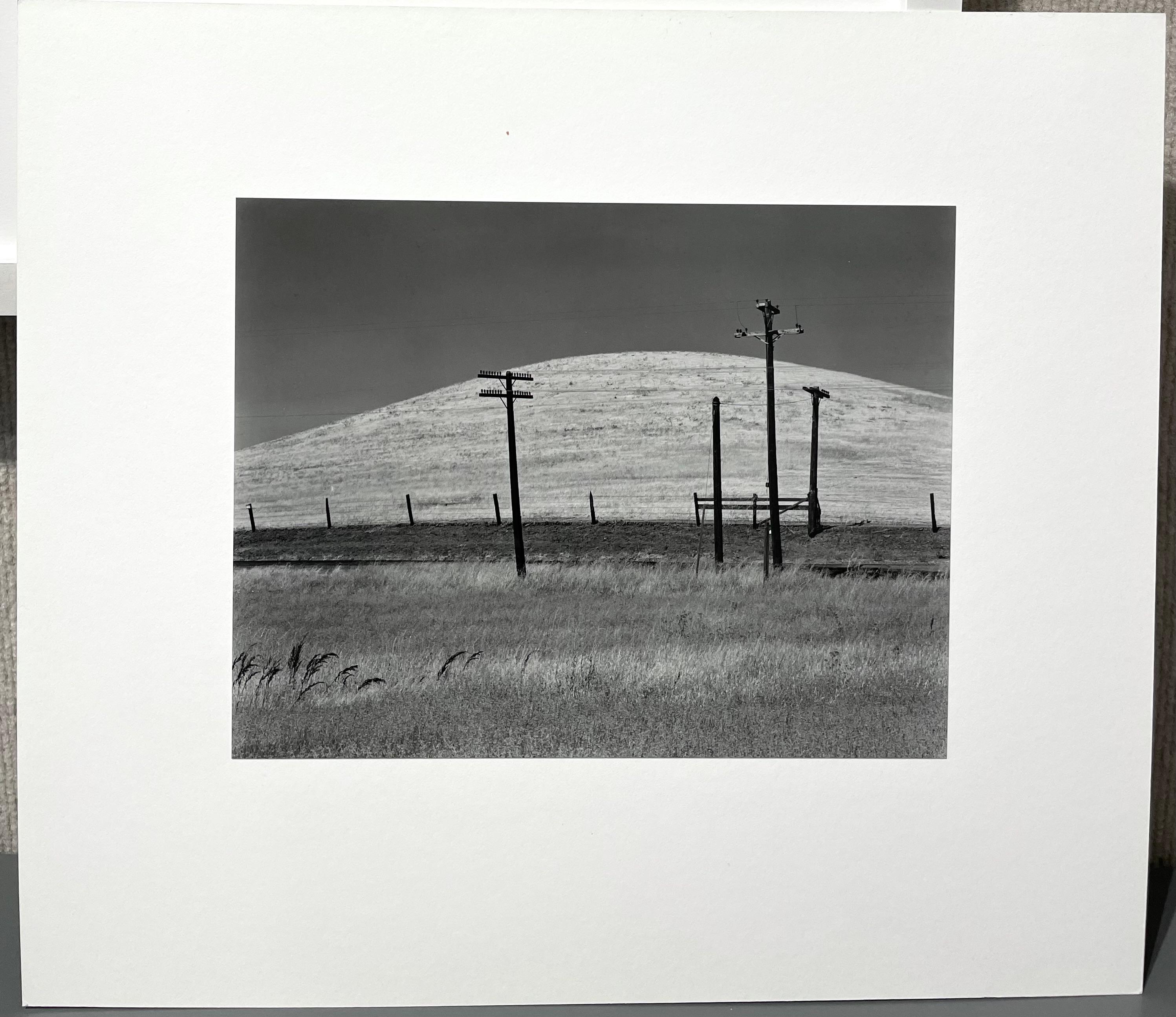 Hill and Telephone Pole, Sonoma County - Gray Black and White Photograph by Edward Weston