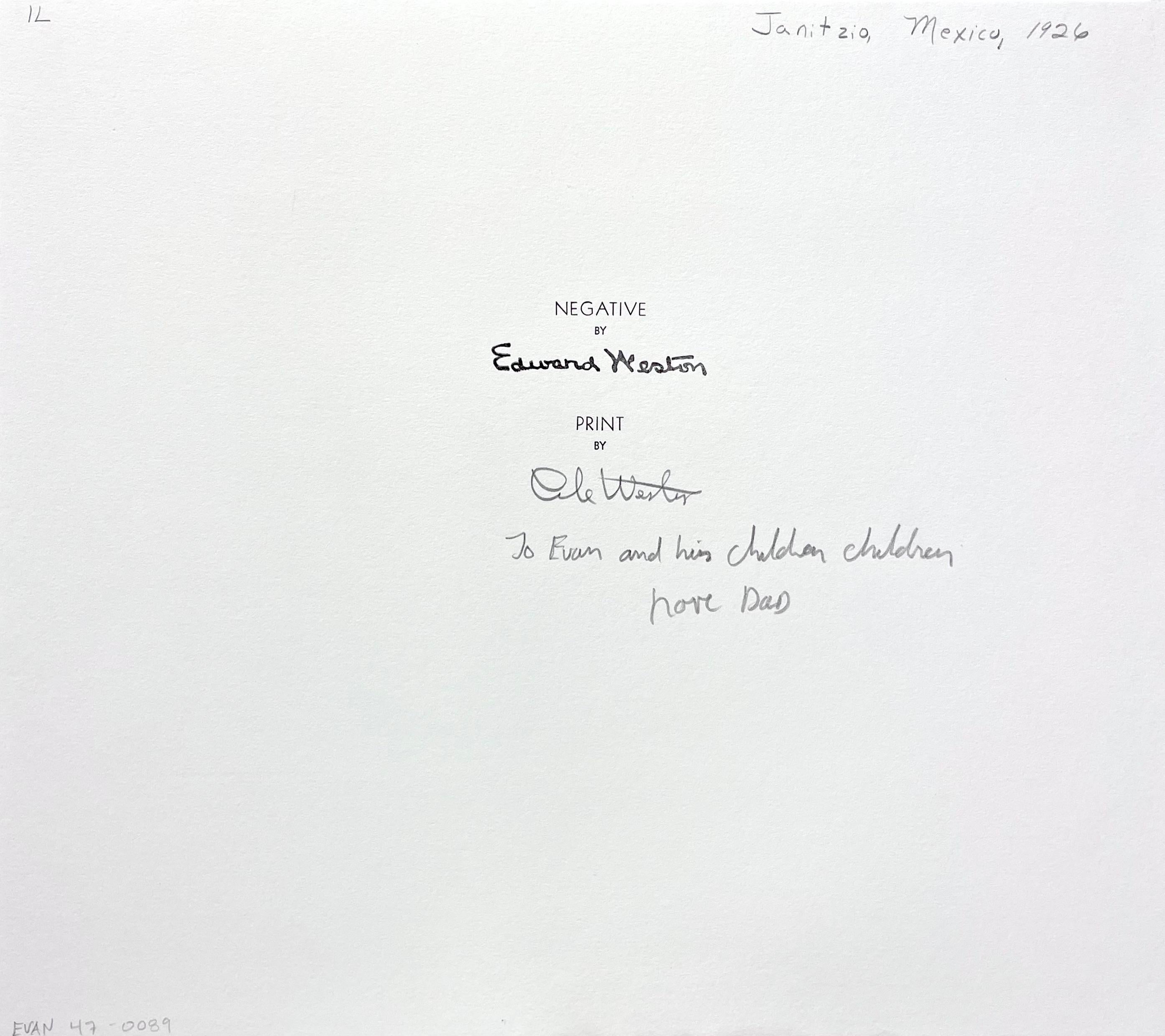 Titled with artist's reference number on back of mount. Stamped, 'Edward Weston printed by' and signed by Cole Weston on back of mount. Inscribed. Printed from the original negative, now retired and housed at the Center for Creative Photography in