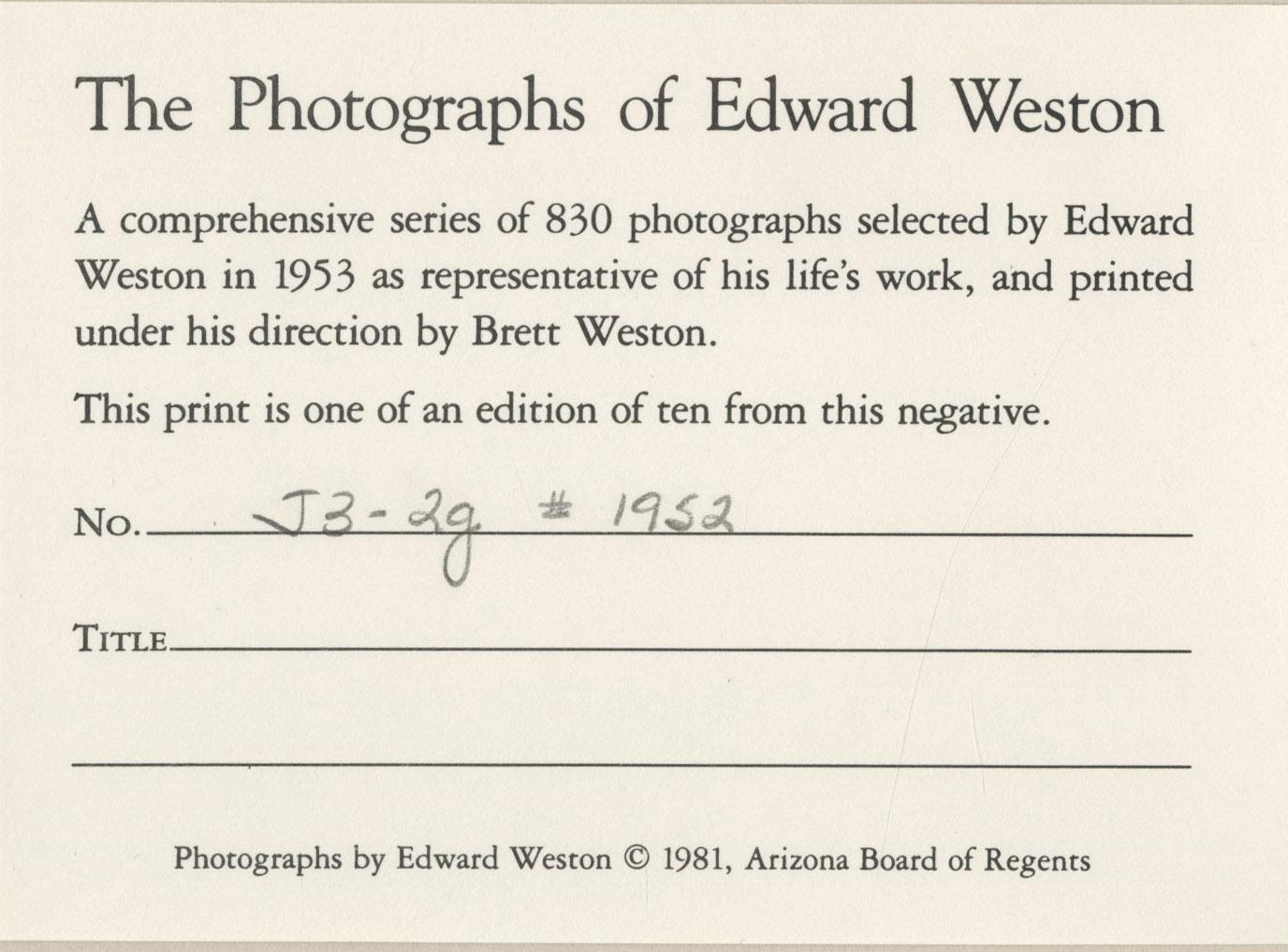 Juniper, Lake Tenaya
Gelatin silver print, 1937
Unsigned
Edward Weston Estate stamp verso (see photo)
A lifetime printing by Brett Weston, supervised by his father Edward, printed in 1953
Edition of 5 or 6 examples
Weston negative Numbered in pencil