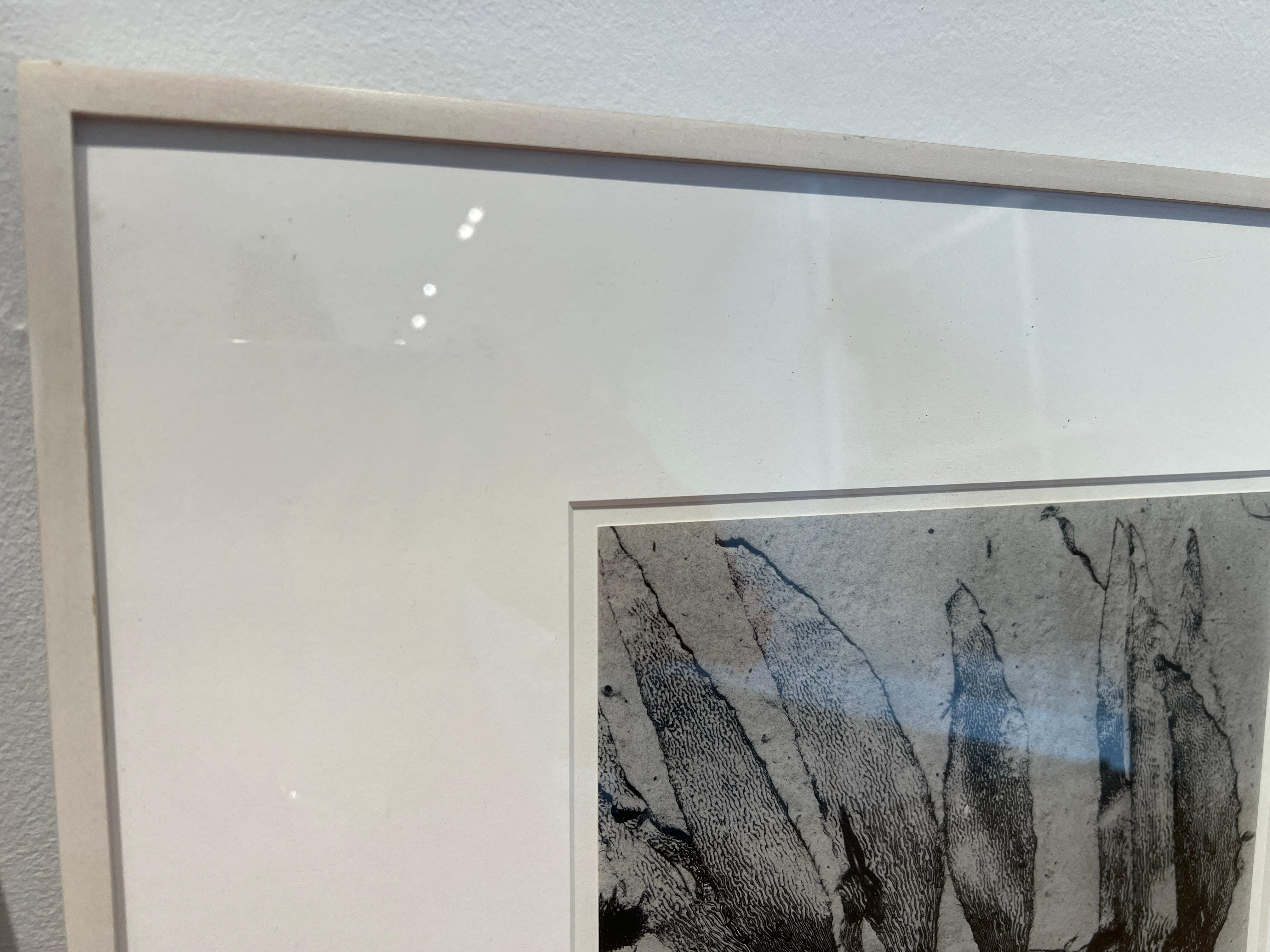 Titolato e datato con numero di riferimento dell'artista e timbro sul retro della montatura. Stampato e firmato da Cole Weston.