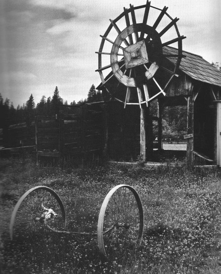 Edward Weston Still-Life Photograph - Meyer’s Ranch 