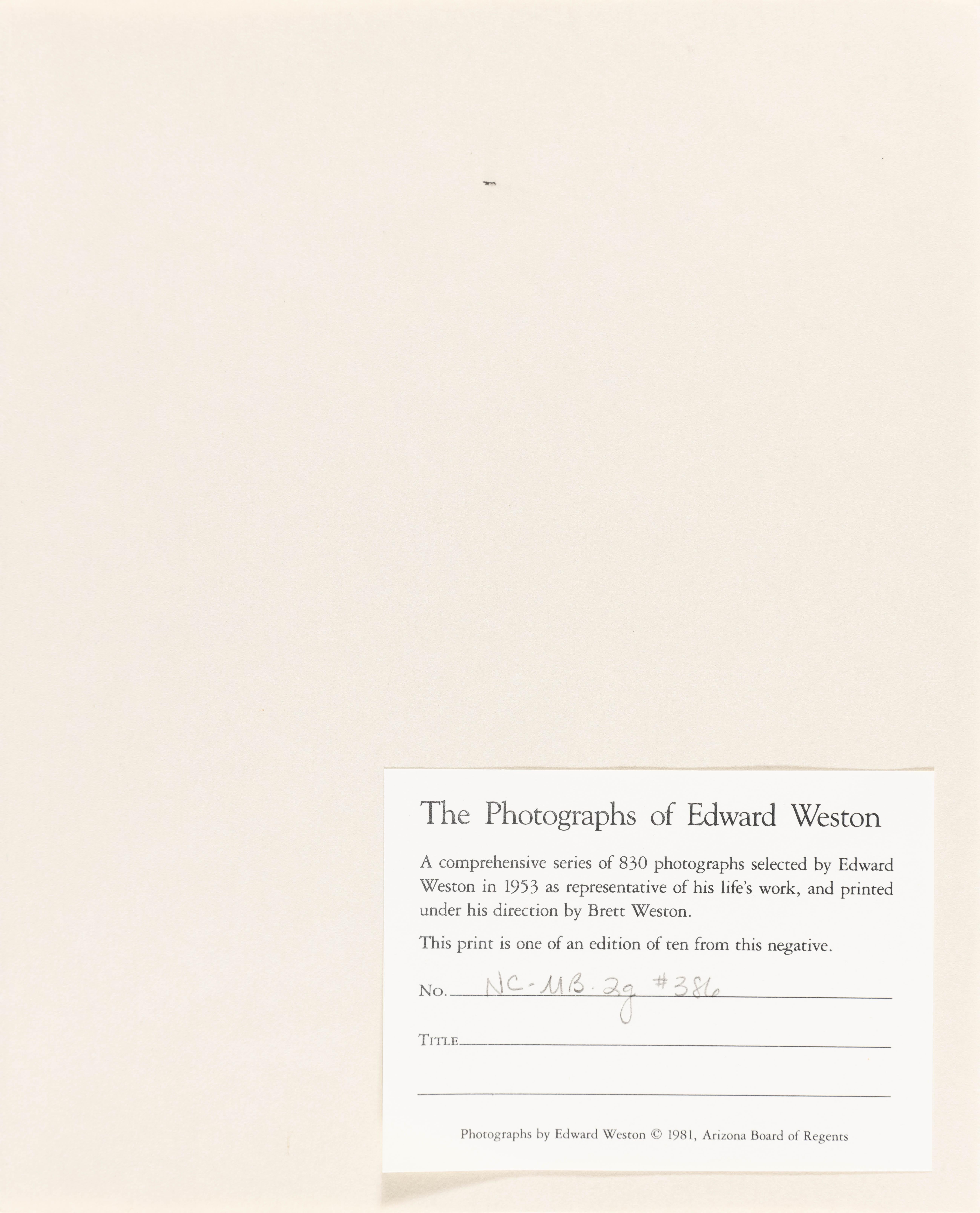 Moonstone Beach im Angebot 1