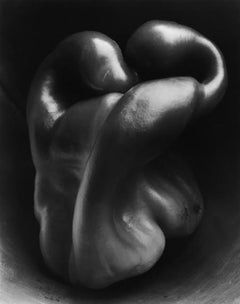 Pepper, 1930 - Edward Weston (Photography)