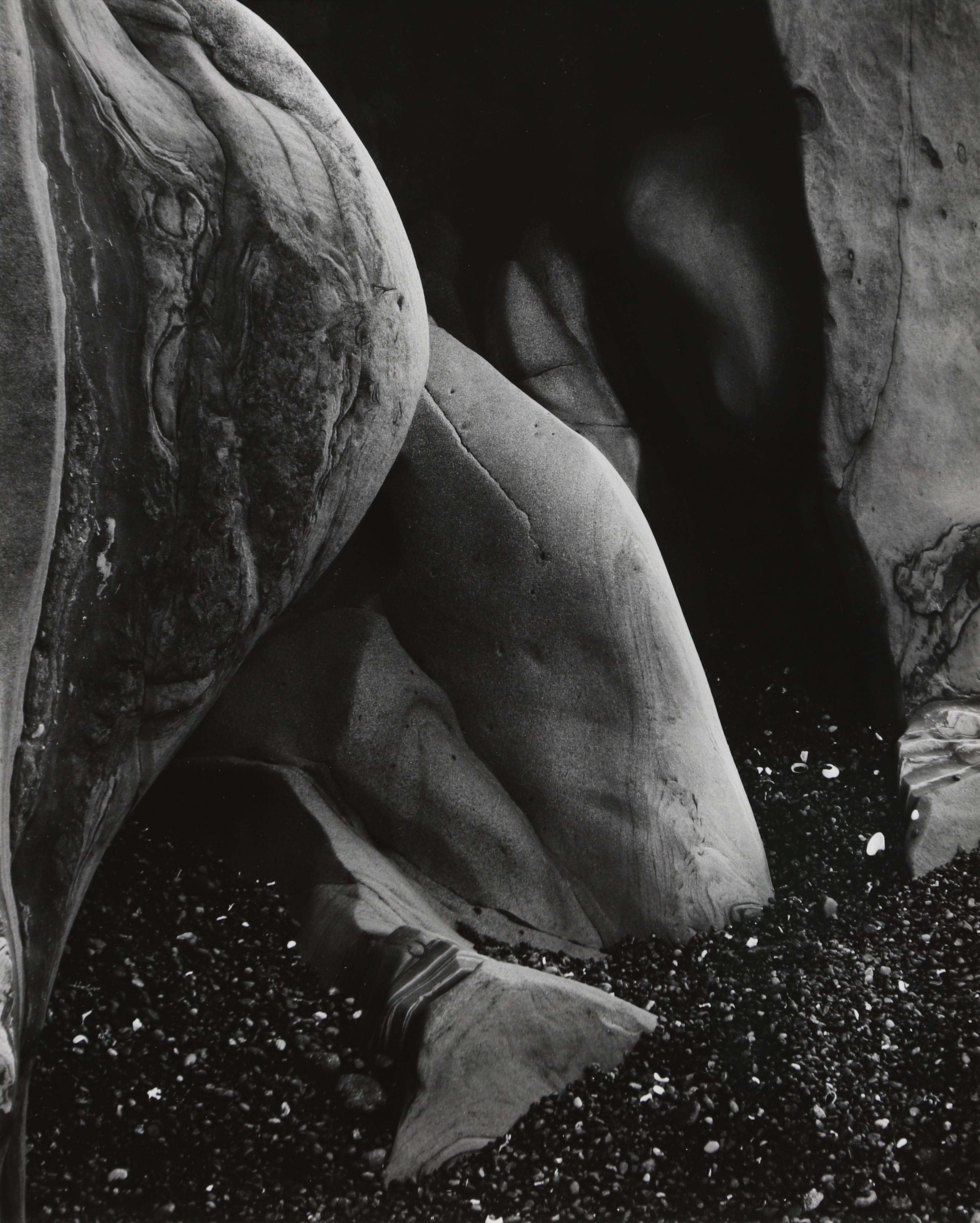 Edward Weston Black and White Photograph – Bergerosion, Point Lobos