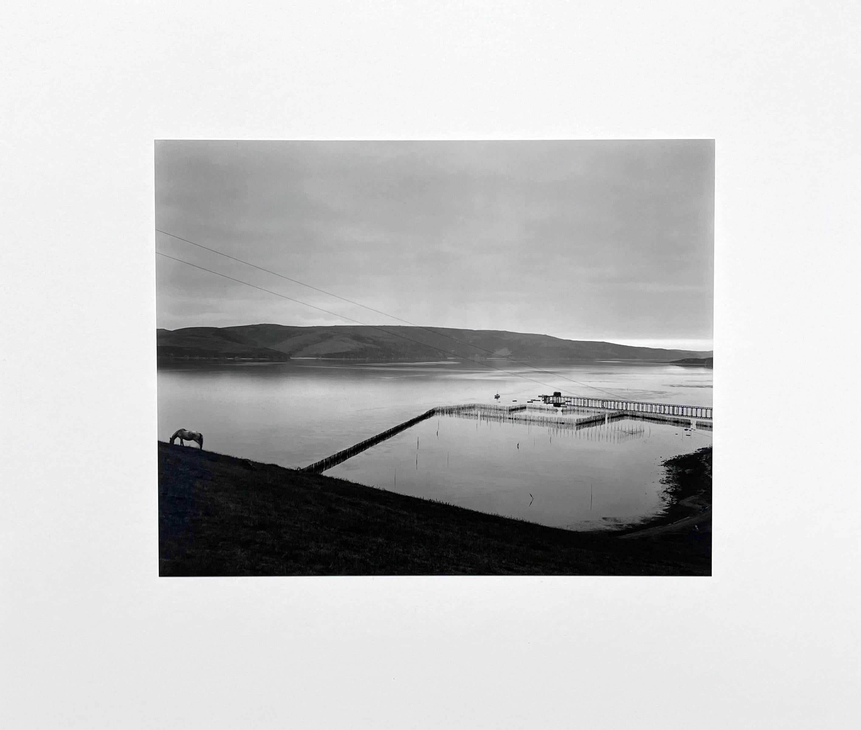Bay de Tomales, 1937 - Gris Black and White Photograph par Edward Weston