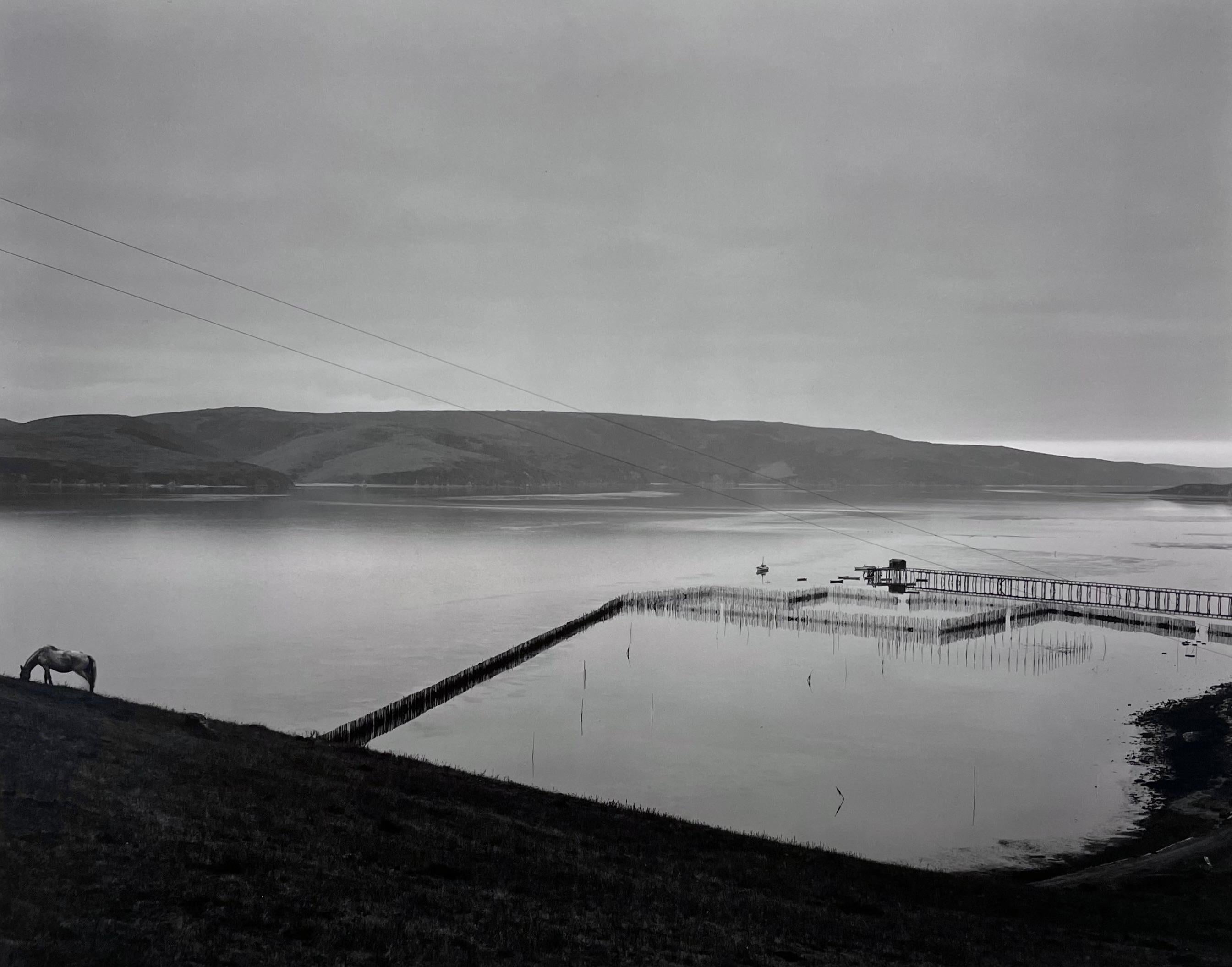 Edward Weston Black and White Photograph - Tomales Bay, 1937