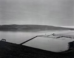 Used Tomales Bay, 1937