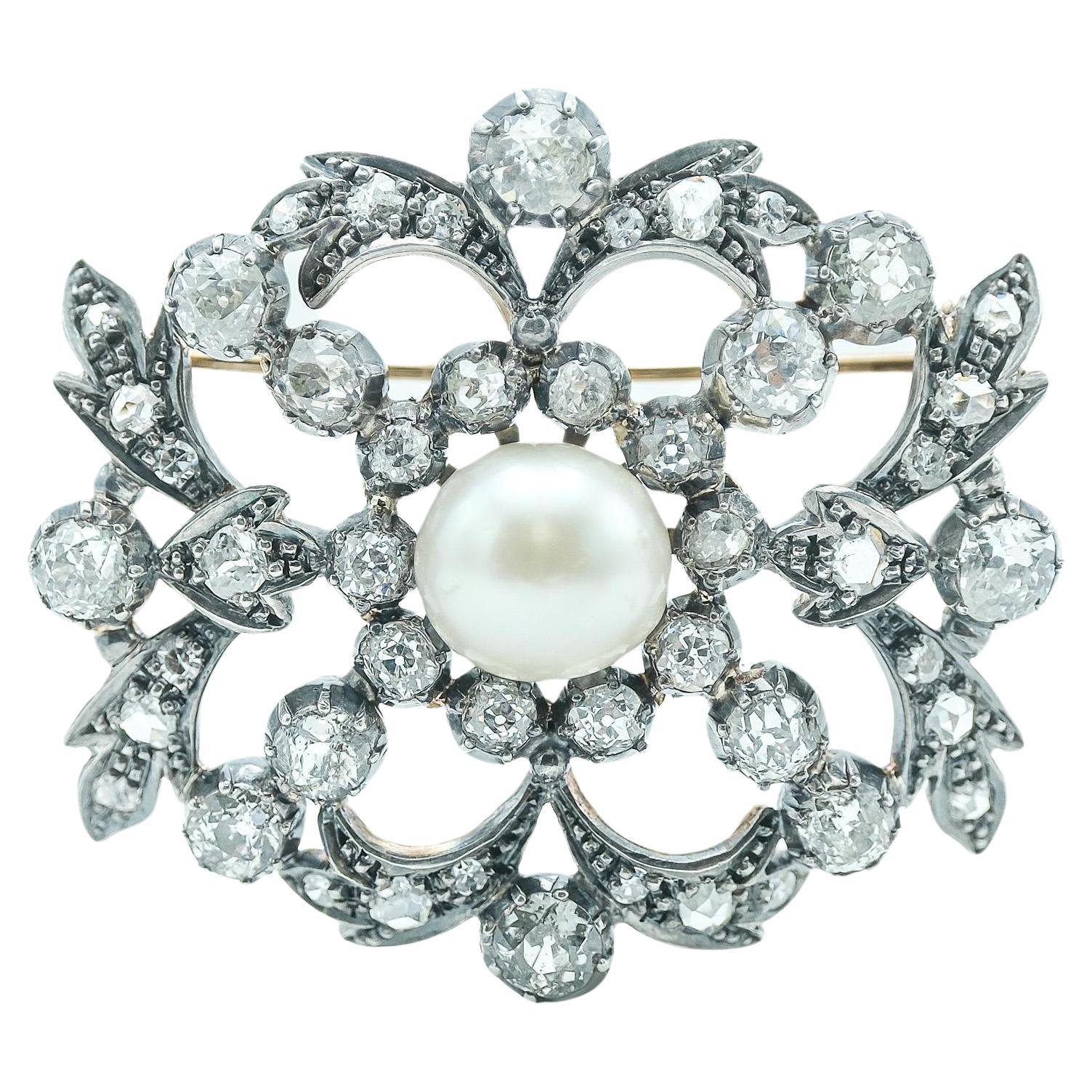 Edwardian 10 Karat White Gold, Silver Topped Diamond and Pearl Brooch For Sale