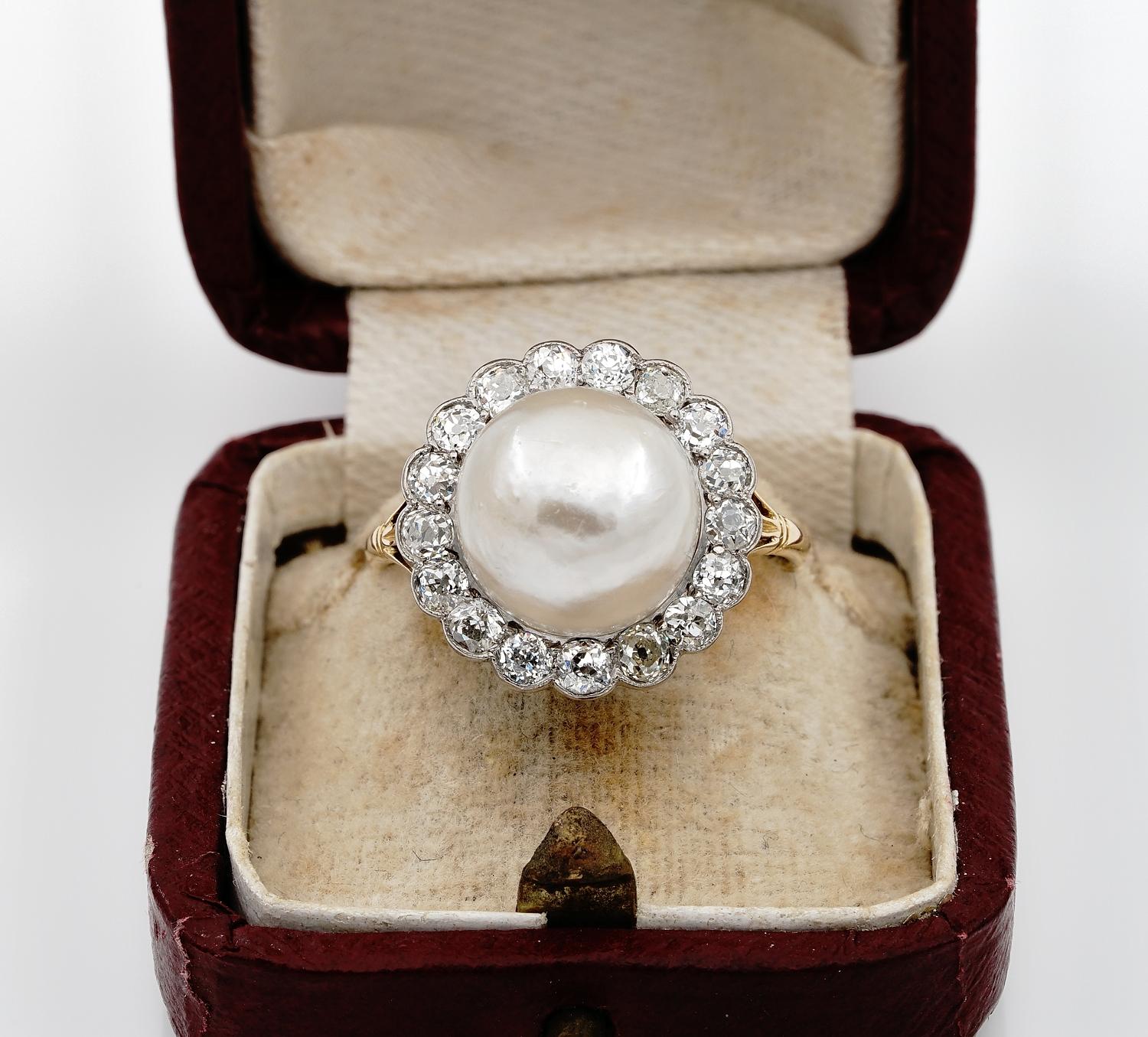 The Queen of Seas
Prized for millennia, pearls are organic gems with strong associations with the Moon, great value, and weddings
Emblem of Purity, rewarded in history by Kings and Queens
Rare and extremely fine is this pure Edwardian ring, 1900/09