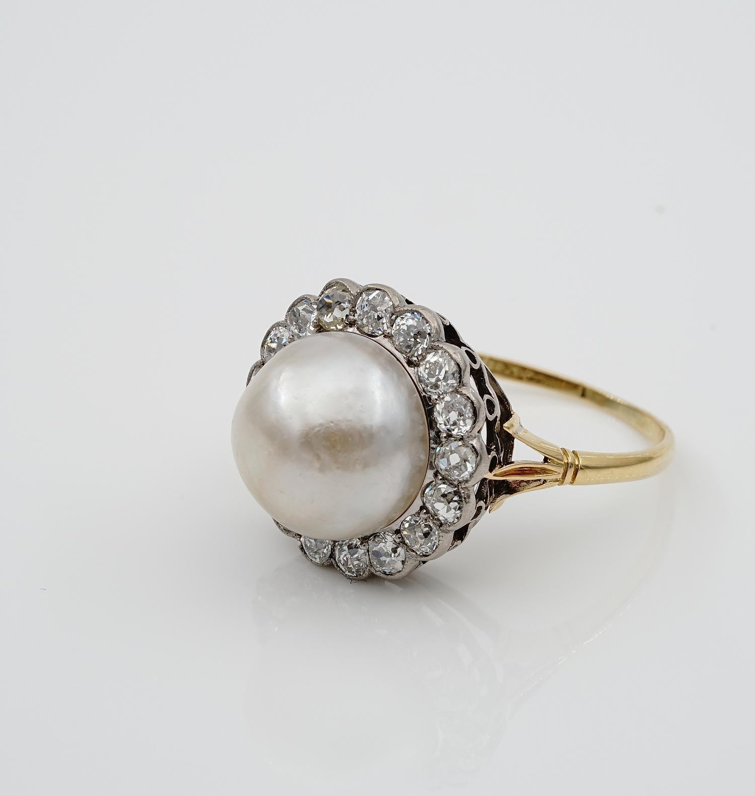 Women's Edwardian 12 MM. Natural Split Pearl 1.60 Ct Diamond Engagement Ring For Sale