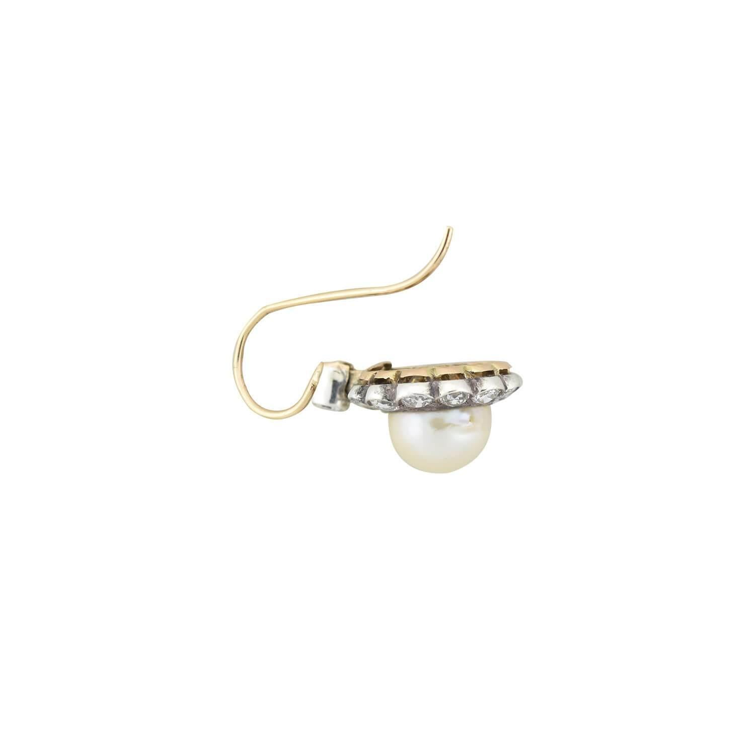 Old Mine Cut Edwardian 14kt/Platinum Diamond + Natural Pearl Cluster Earrings