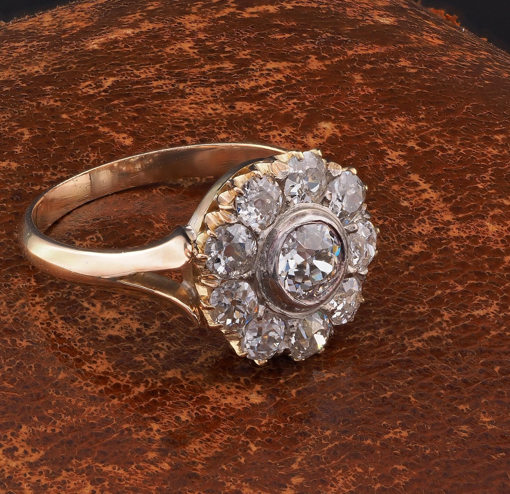 Edwardian 1.60 Ct Ct Old Mine Cut Diamant Daisy Cluster Ring (Alteuropäischer Brillantschliff)