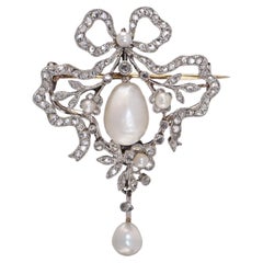 Edwardian 18kt Gold & Platinum Bow Brooch with Natural Pearls & Diamonds