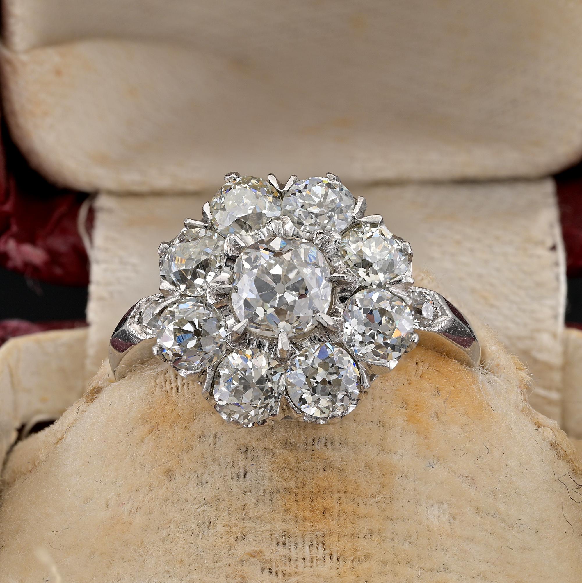 This ia a breathtaking Edwardian ring 
Hand crafted of solid Platinum in a superb Daisy design over cared into the slightest detail
A selection of old mine cut Diamonds is disposed on the setting as a flower, with larger Diamond in the middle and 