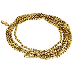 Antique Edwardian 9 Carat Gold Long Guard Chain