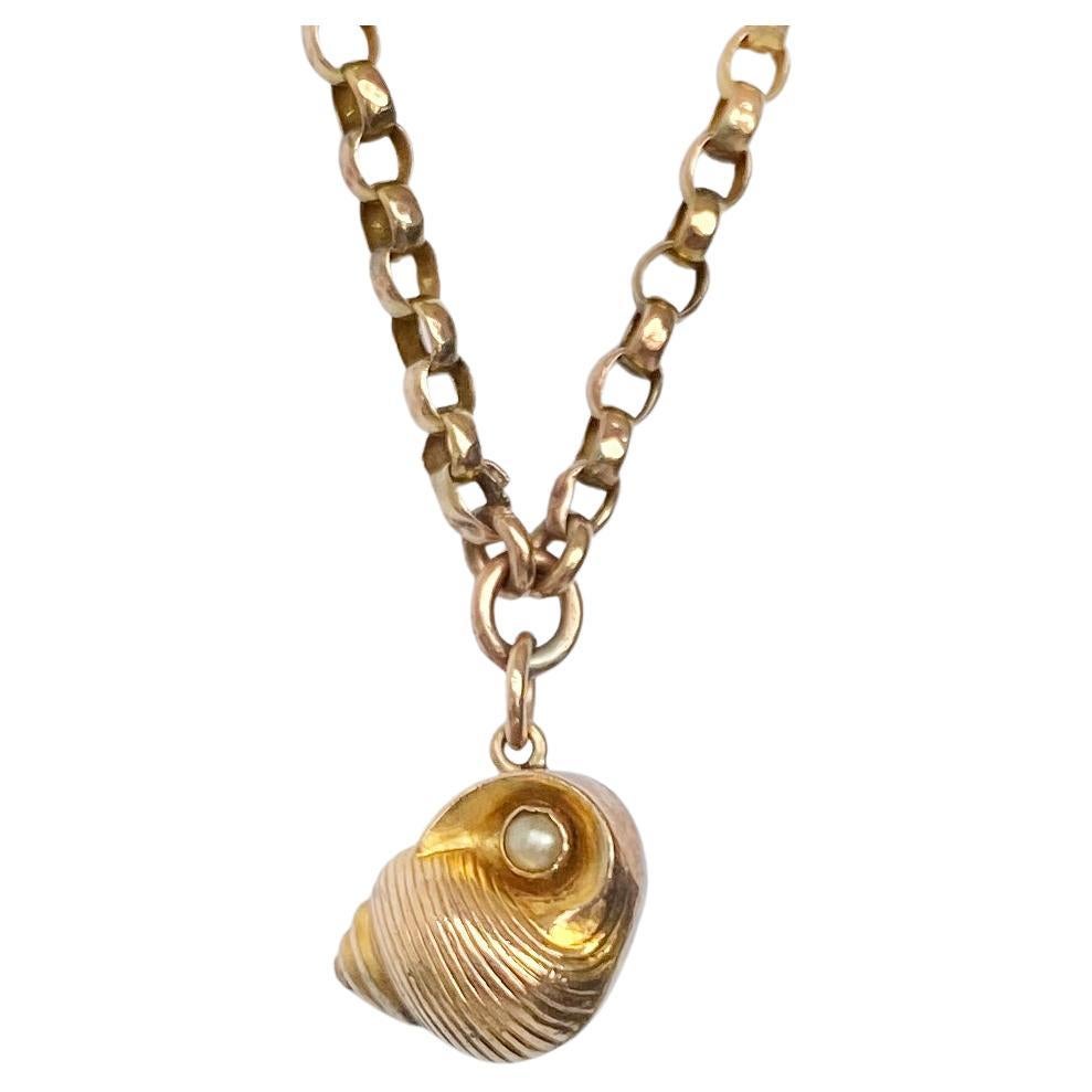 Edwardian 9 Carat Gold Longuard Necklace and Shell Pendant For Sale