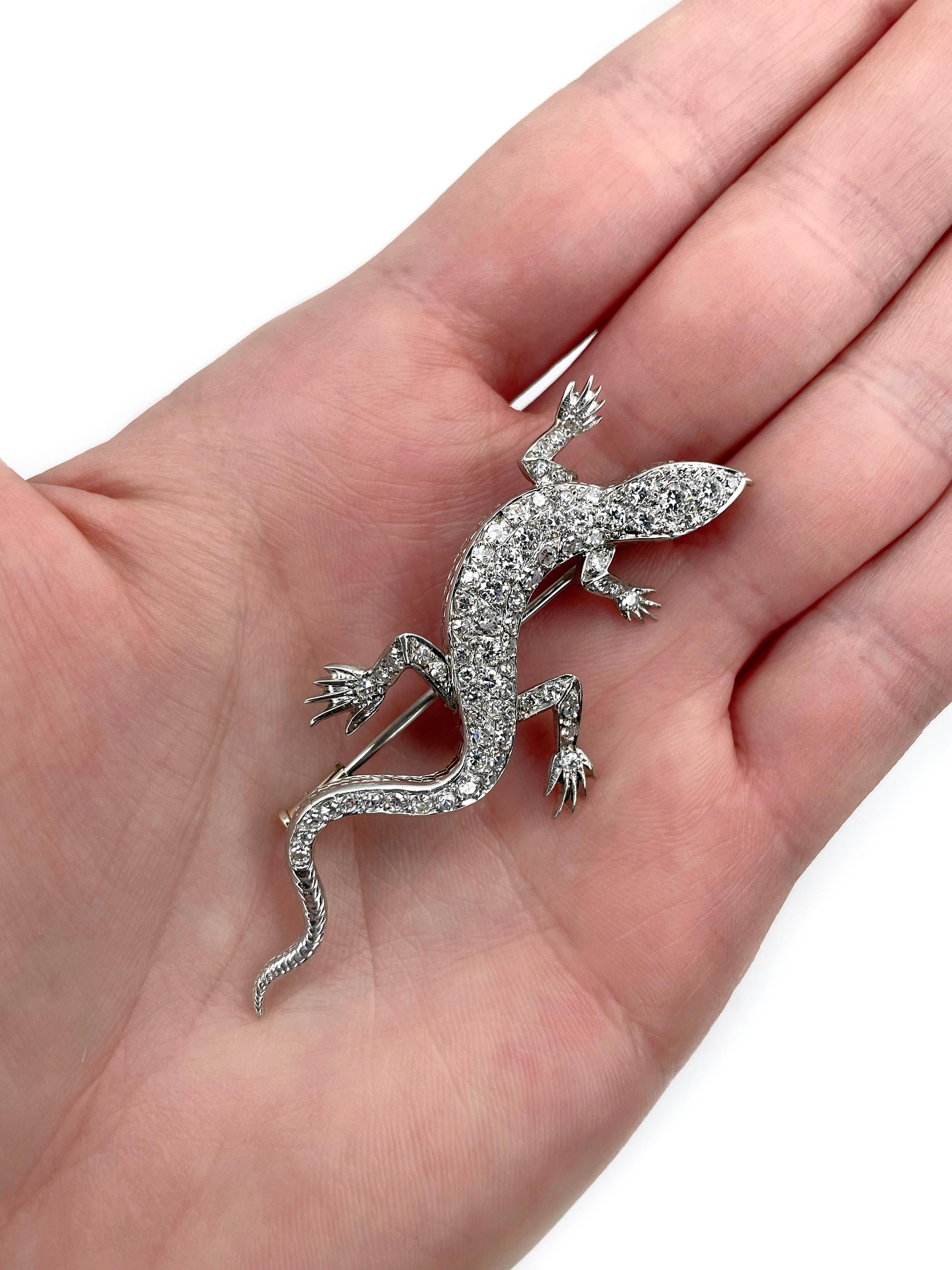 Dies ist eine edwardianische Eidechsen-Brosche aus 950er Platin. Um 1910. 

Das Stück ist mit Diamanten besetzt (TW 1.55ct):
- 23 Diamanten, RBC-33/57, TW 0,75ct, RW+/STW, VS-SI
- 49 Diamanten, RBC-17, TW 0,80ct, RW-TW, VS-SI

Gewicht: 12,63g
Länge: