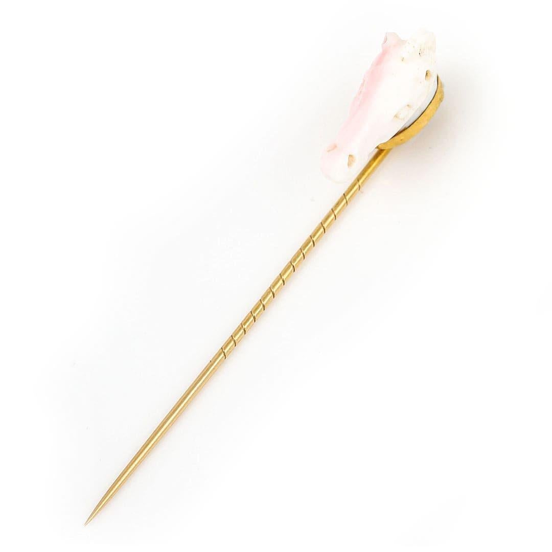 Edwardian 9k Gold Conch Shell Horse Head Stick Pin, Circa 1910 1