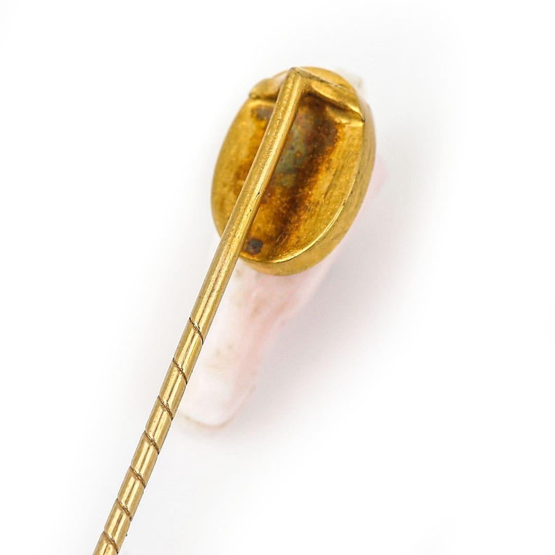 Edwardian 9k Gold Conch Shell Horse Head Stick Pin, Circa 1910 2