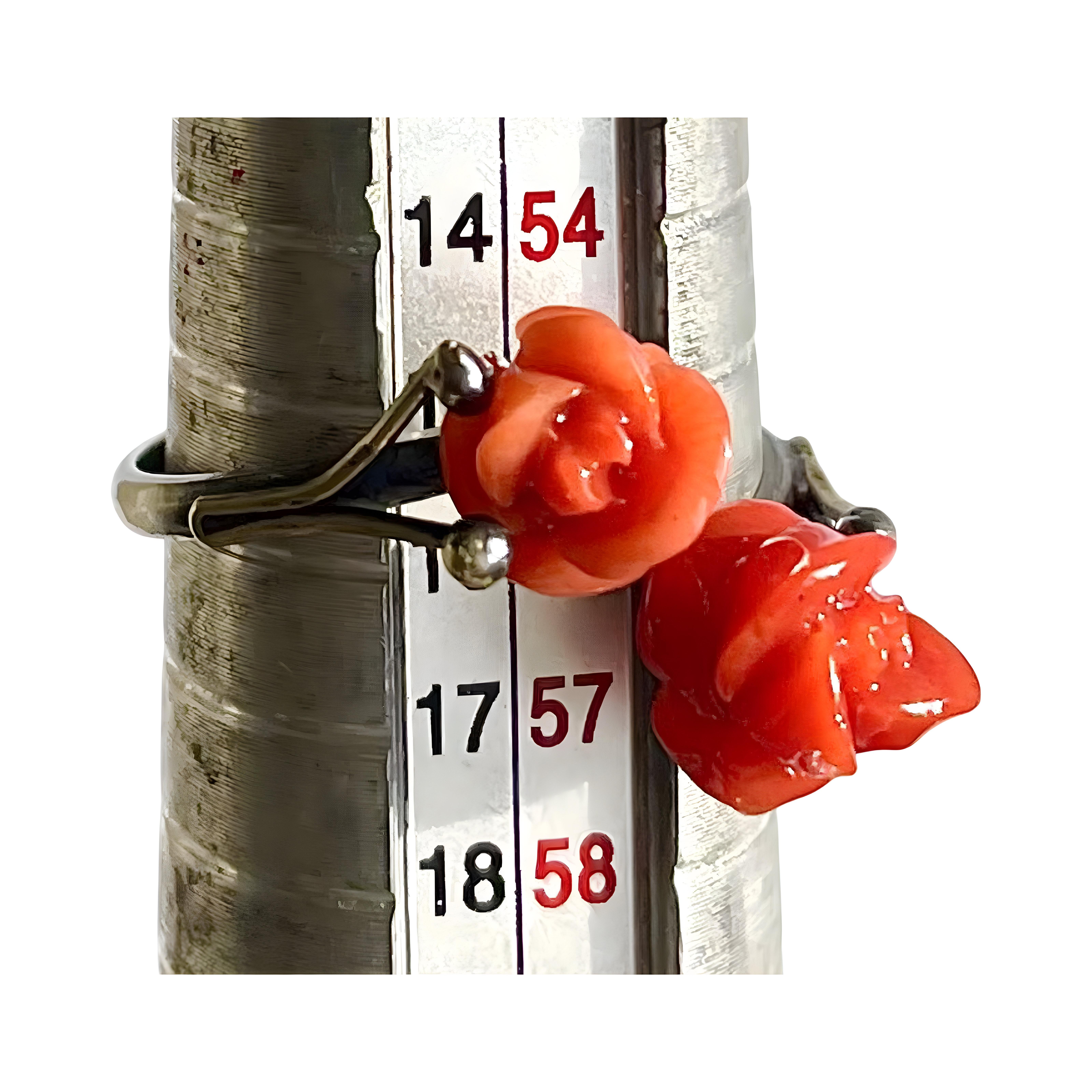 Edwardian antique carved red Coral roses Ring set in 800 Silver, Adjustable band For Sale 11