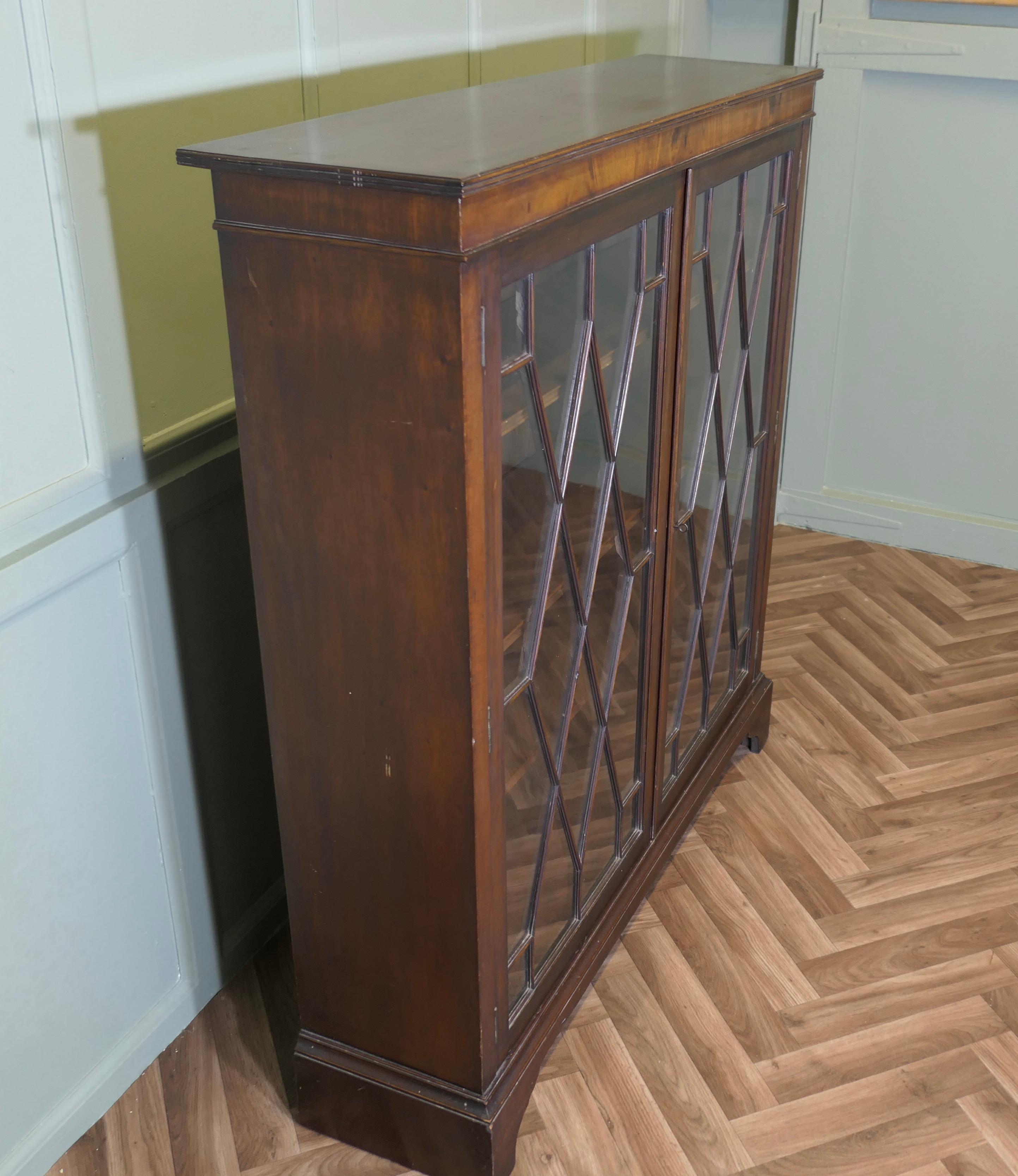 Early 20th Century Edwardian Astral Glazed Display Cabinet/Book Case For Sale