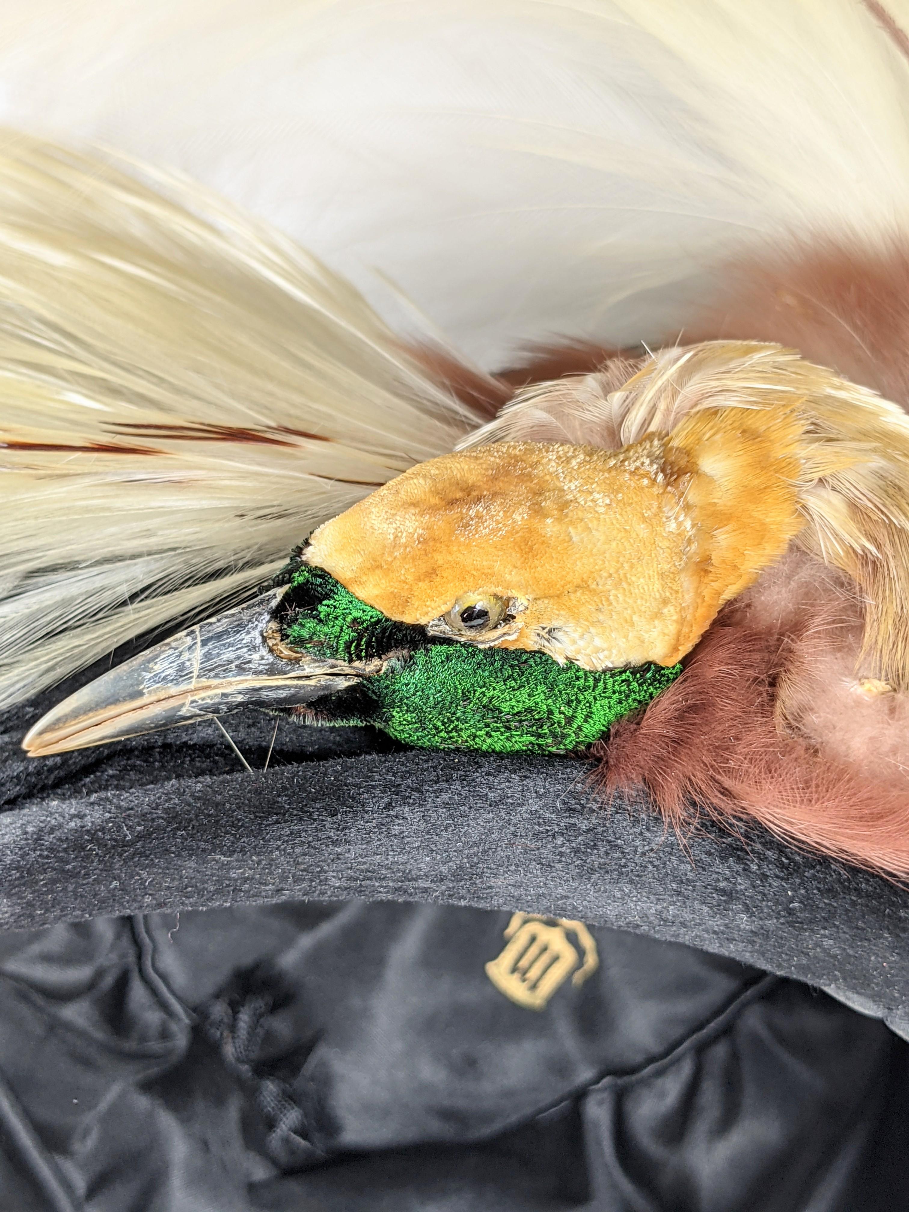 Edwardian Bird of Paradise Hat For Sale 6