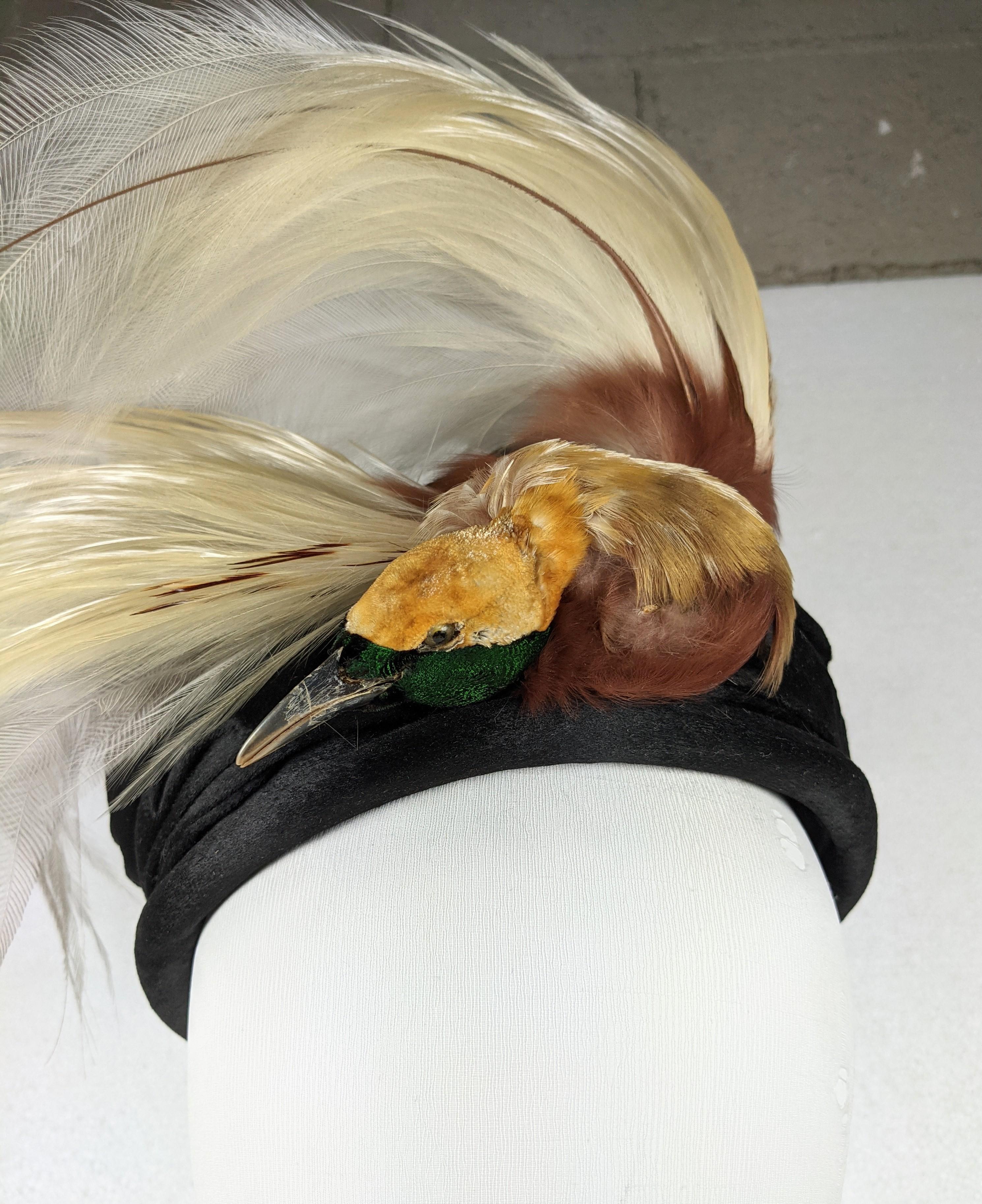 Chapeau oiseau de paradis édouardien Excellent état - En vente à New York, NY