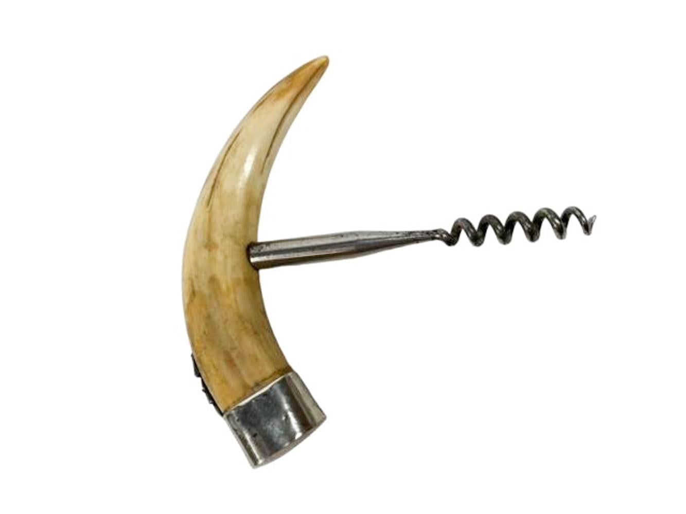 American Edwardian Boar's Tusk Corkscrew with Sterling Cap and Applied Sterling Crab For Sale