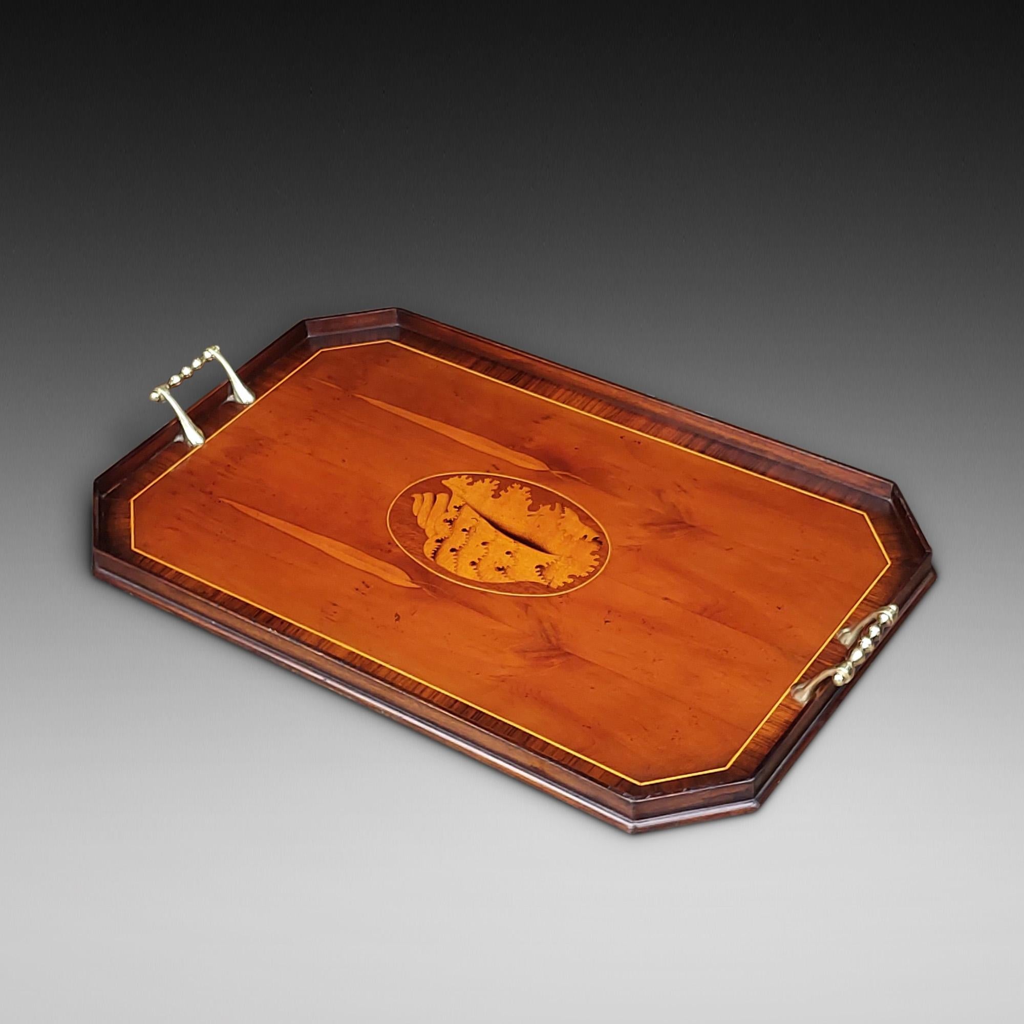 Edwardian Burr Yew, Rosewood and Mahogany Tray - with Satinwood Shell Inlay, Brass Handles and Felt Base - 24