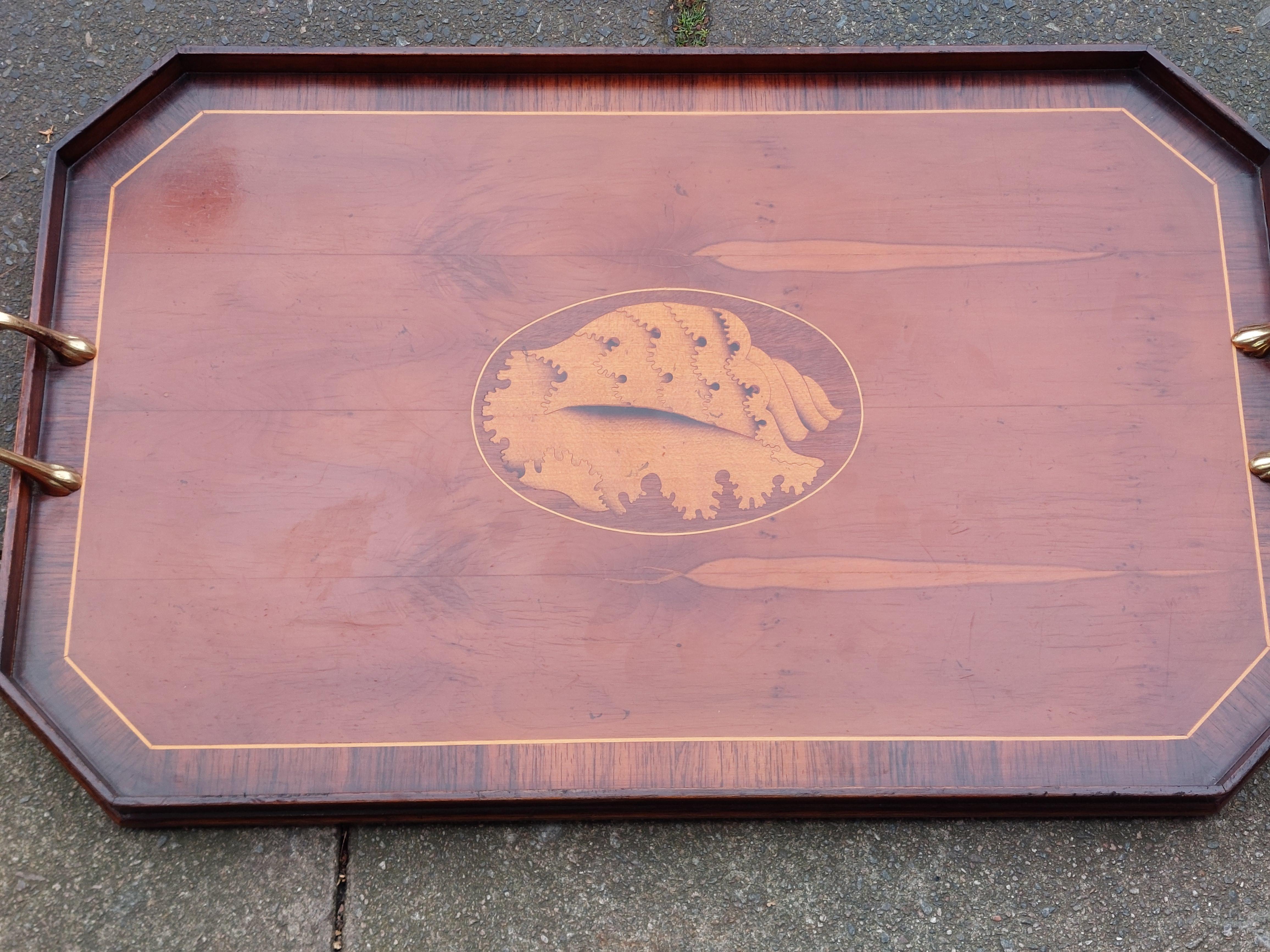 Brass Edwardian Burr Yew, Rosewood and Mahogany Tray For Sale