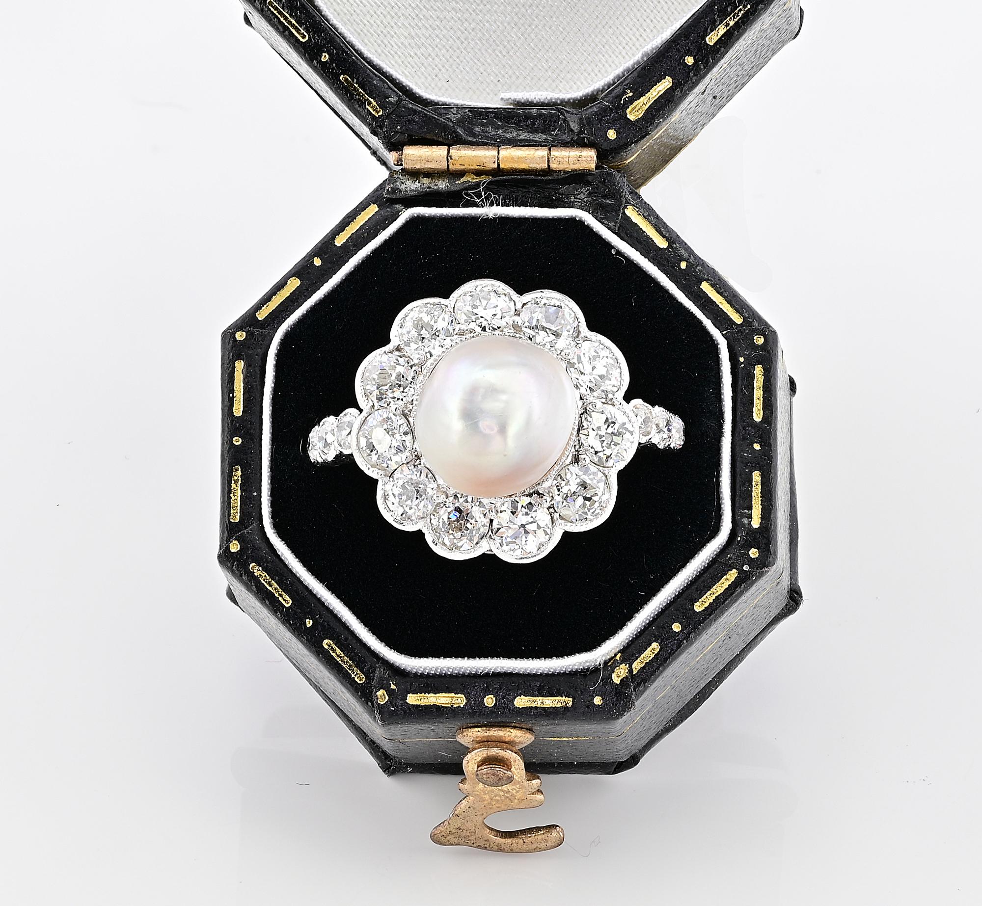 Dieser fabelhafte antike Diamant- und Perlenring aus der Edwardianischen Zeit ist der Inbegriff ewiger Eleganz
Datiert um 1910, handgefertigt aus massivem 18 Kt Gold mit Platinüberzug
Blühende Gänseblümchenform in wunderschöner Kombination aus